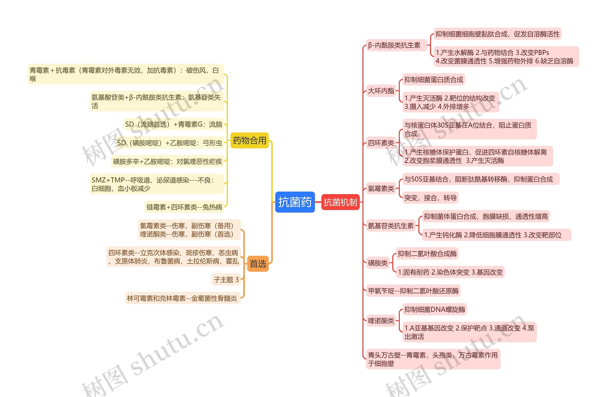 抗菌药思维导图