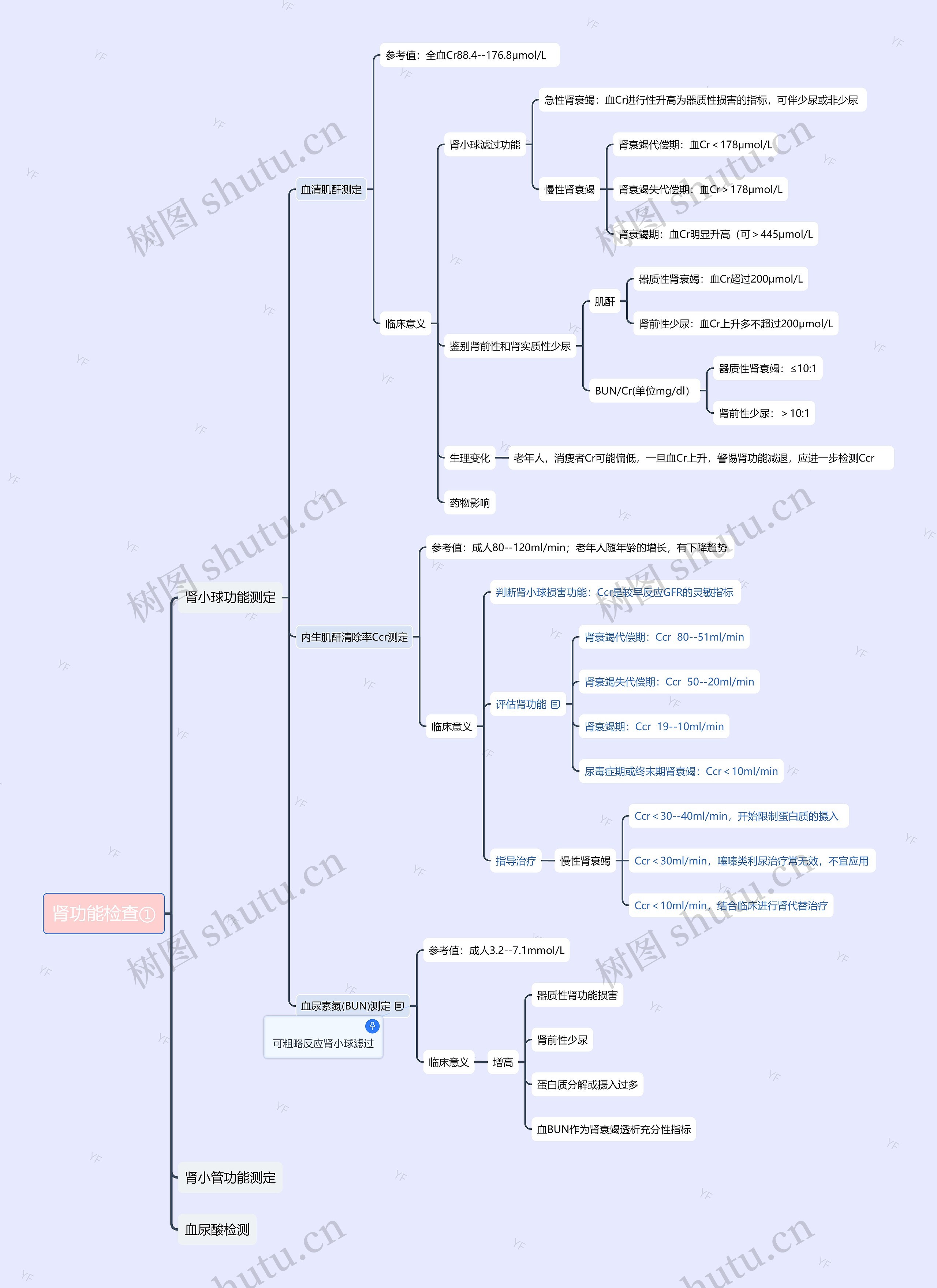 肾功能检查①思维导图