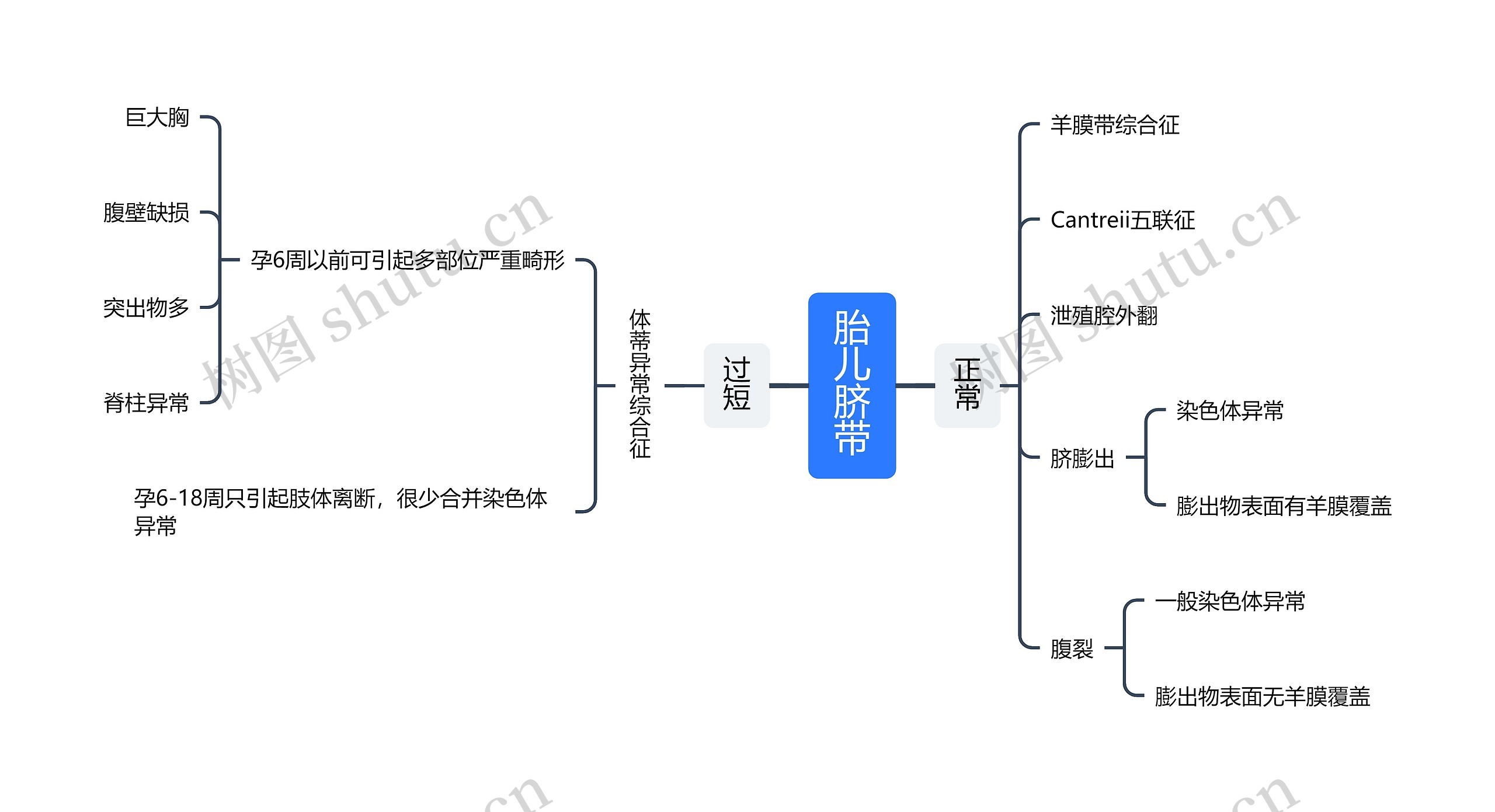 胎儿脐带思维导图