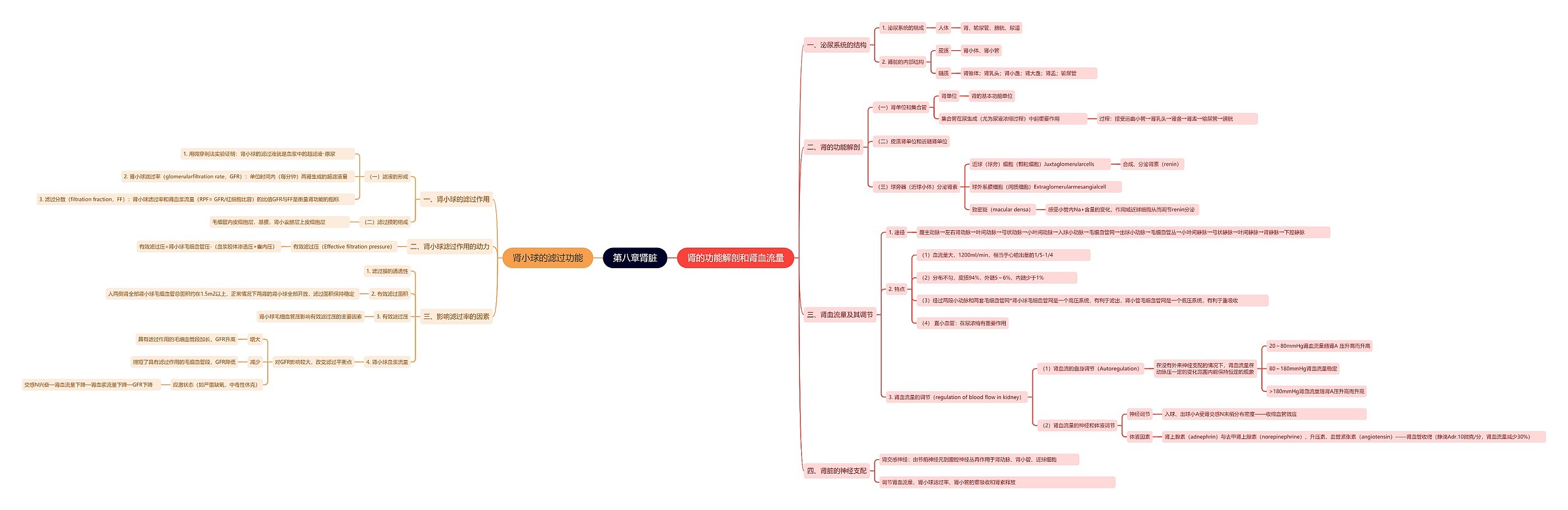 ﻿第八章肾脏思维导图