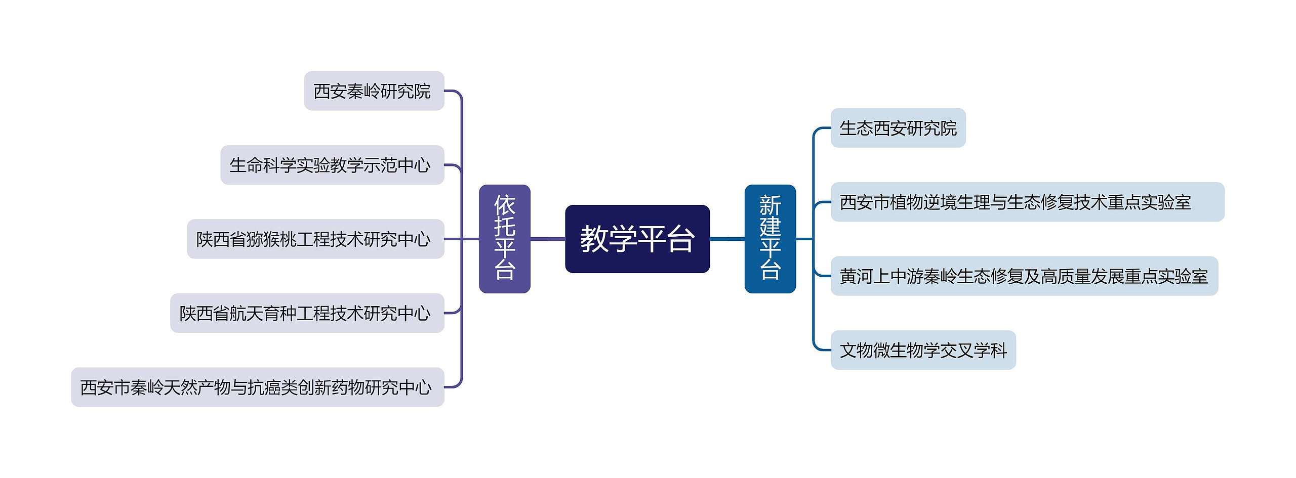 教学平台