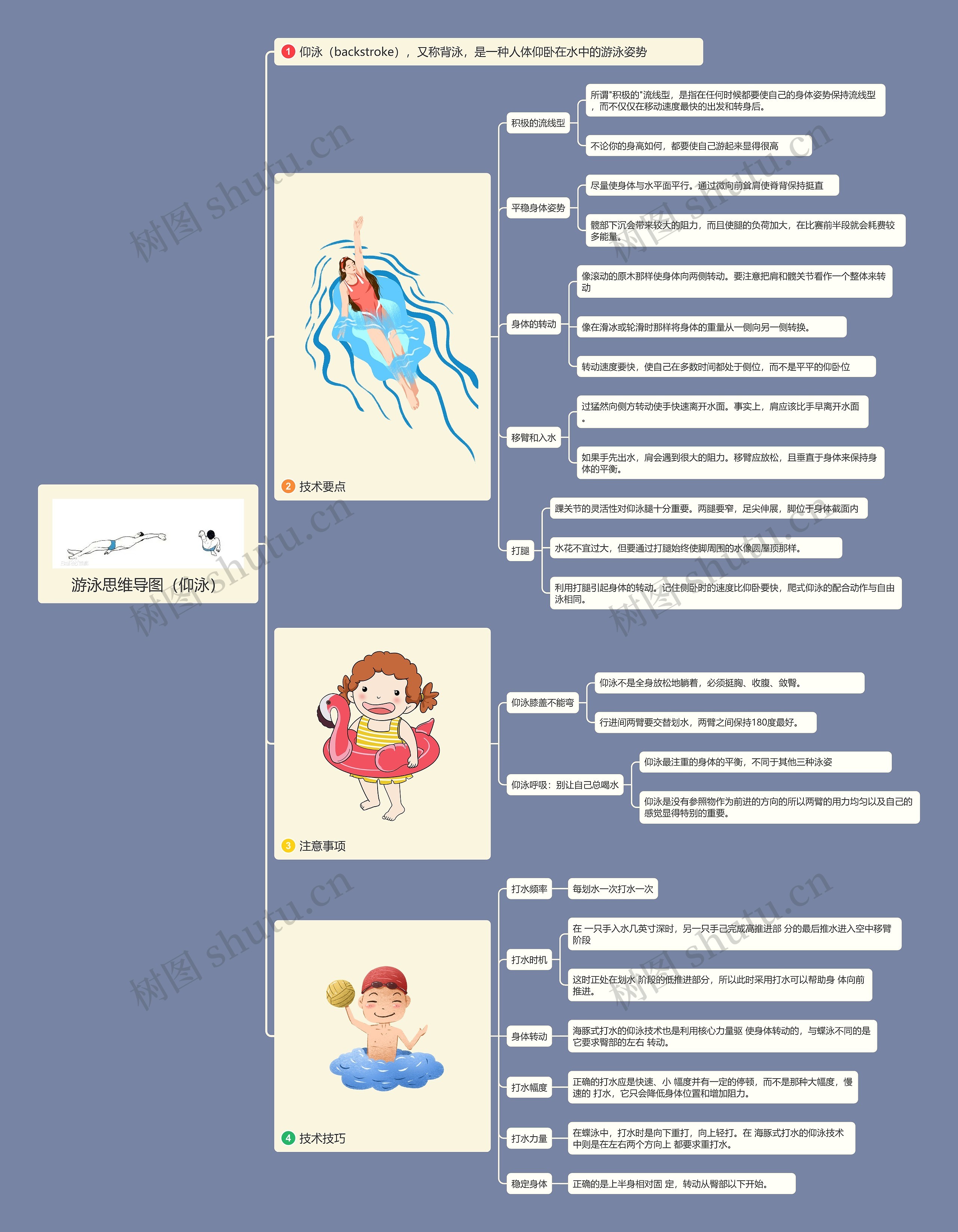 游泳（仰泳）思维导图