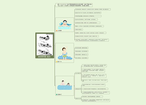 游泳思维导图（蛙泳）思维导图