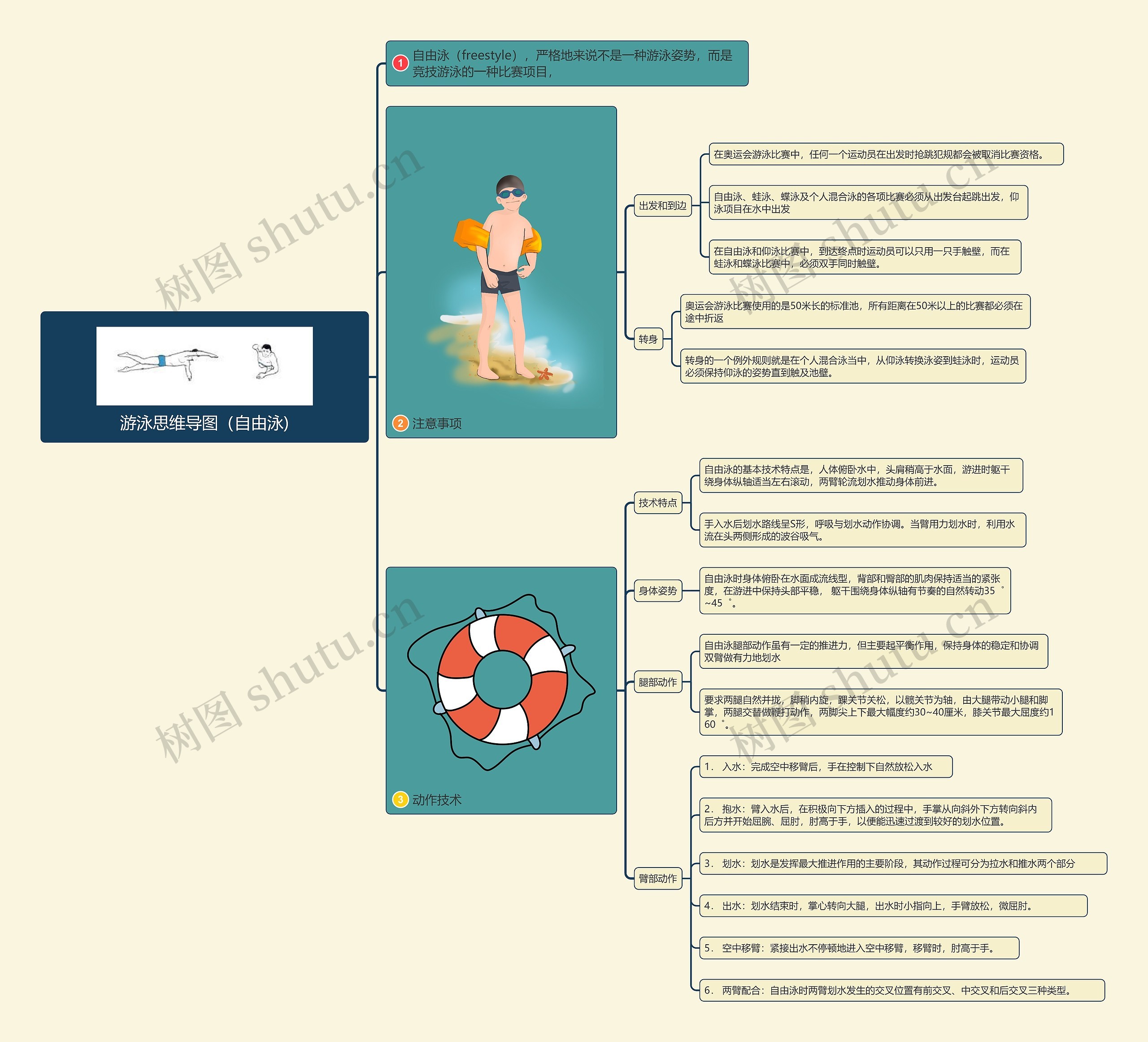 游泳思维导图（自由泳)