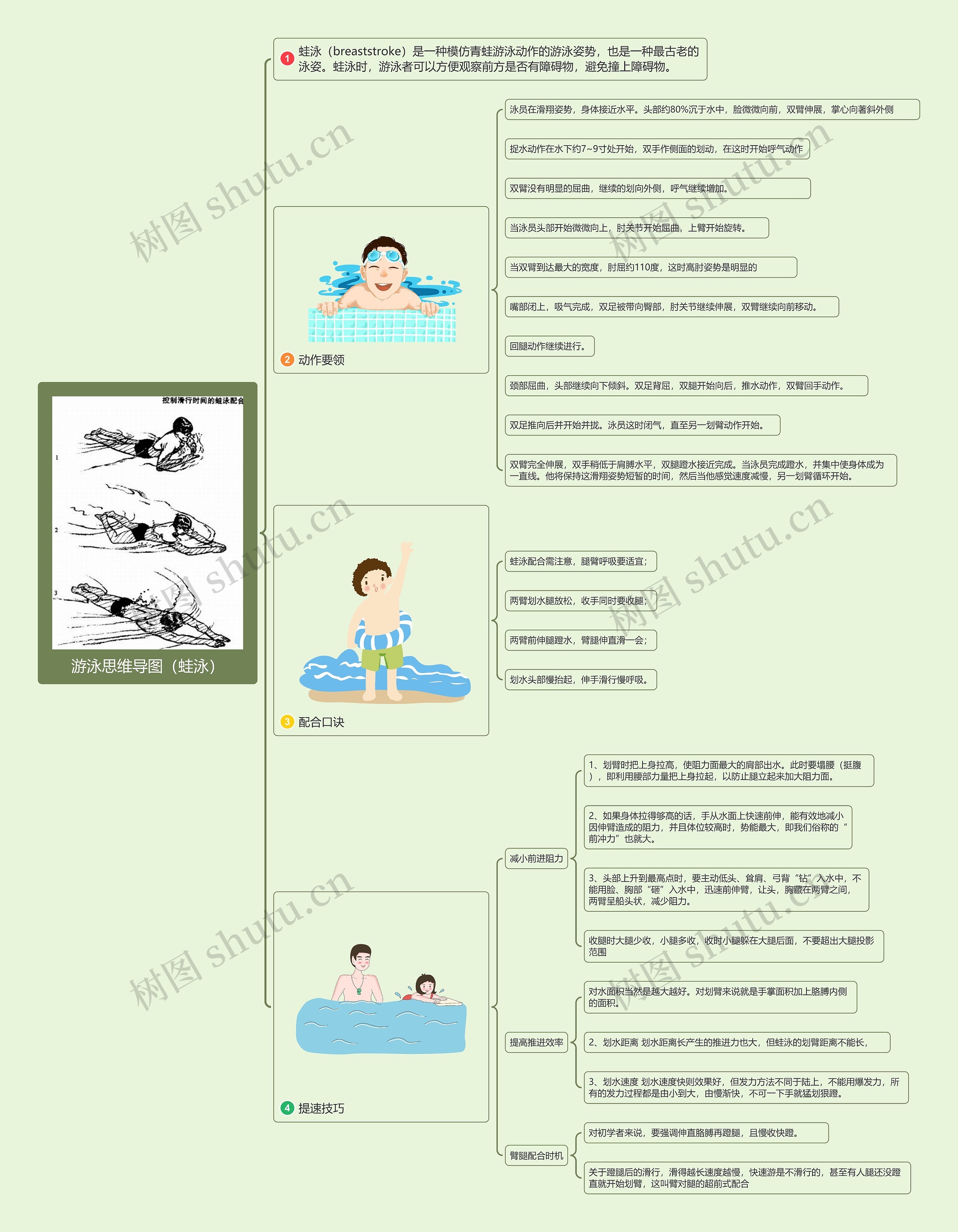 游泳思维导图（蛙泳）