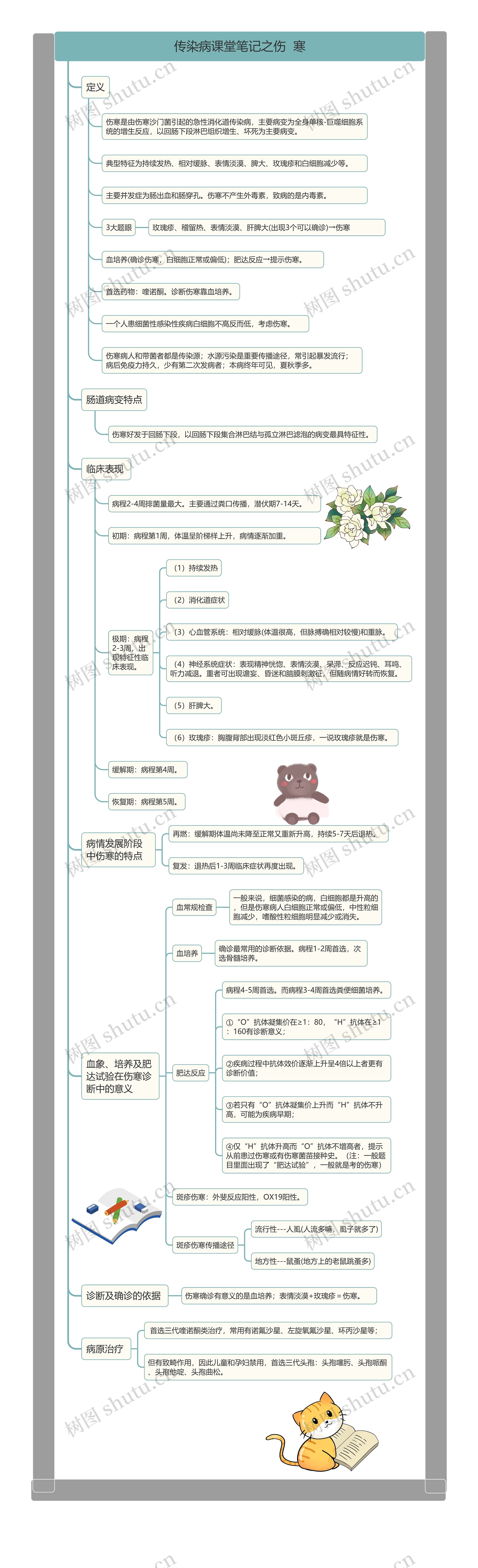 传染病课堂笔记之伤寒
