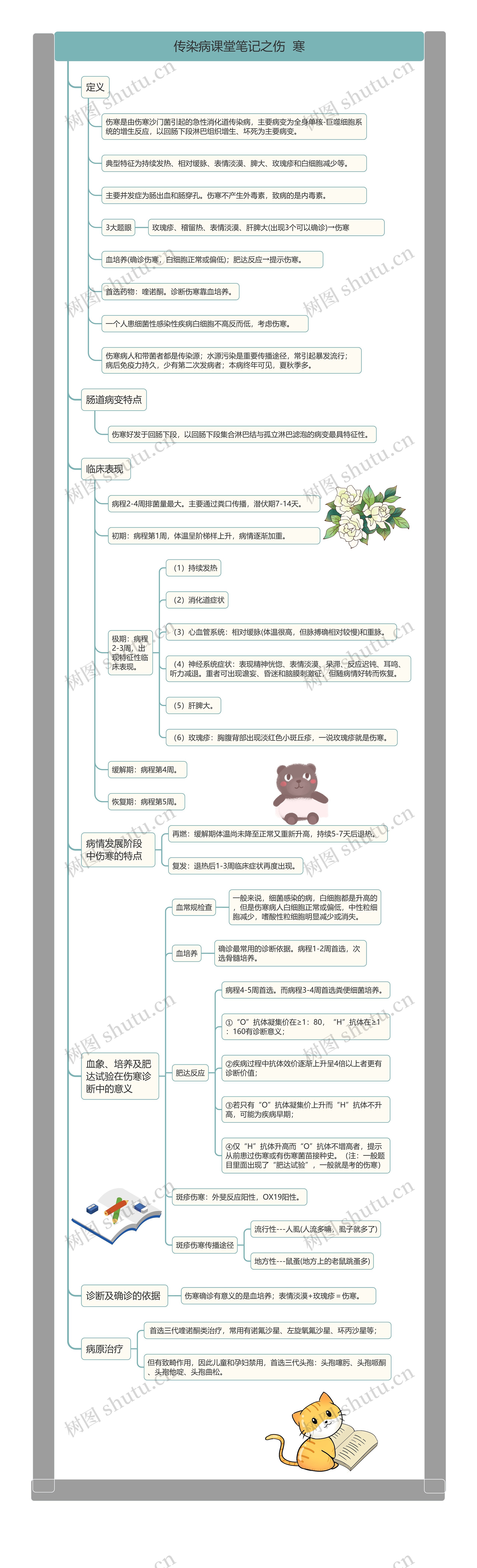 传染病课堂笔记之伤寒思维导图