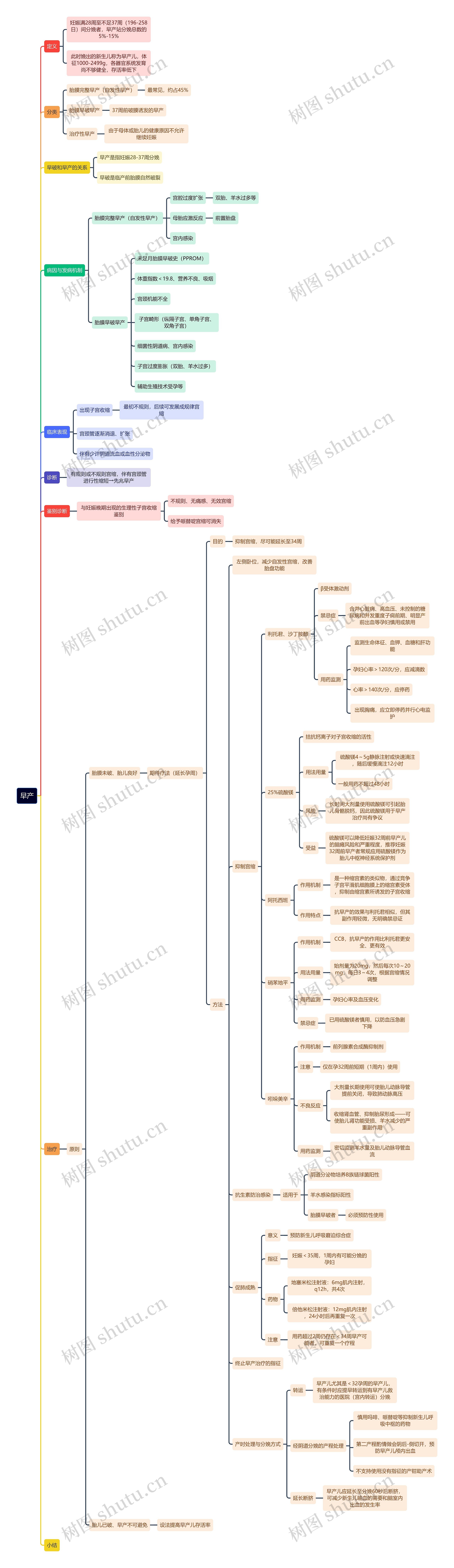 早产思维导图