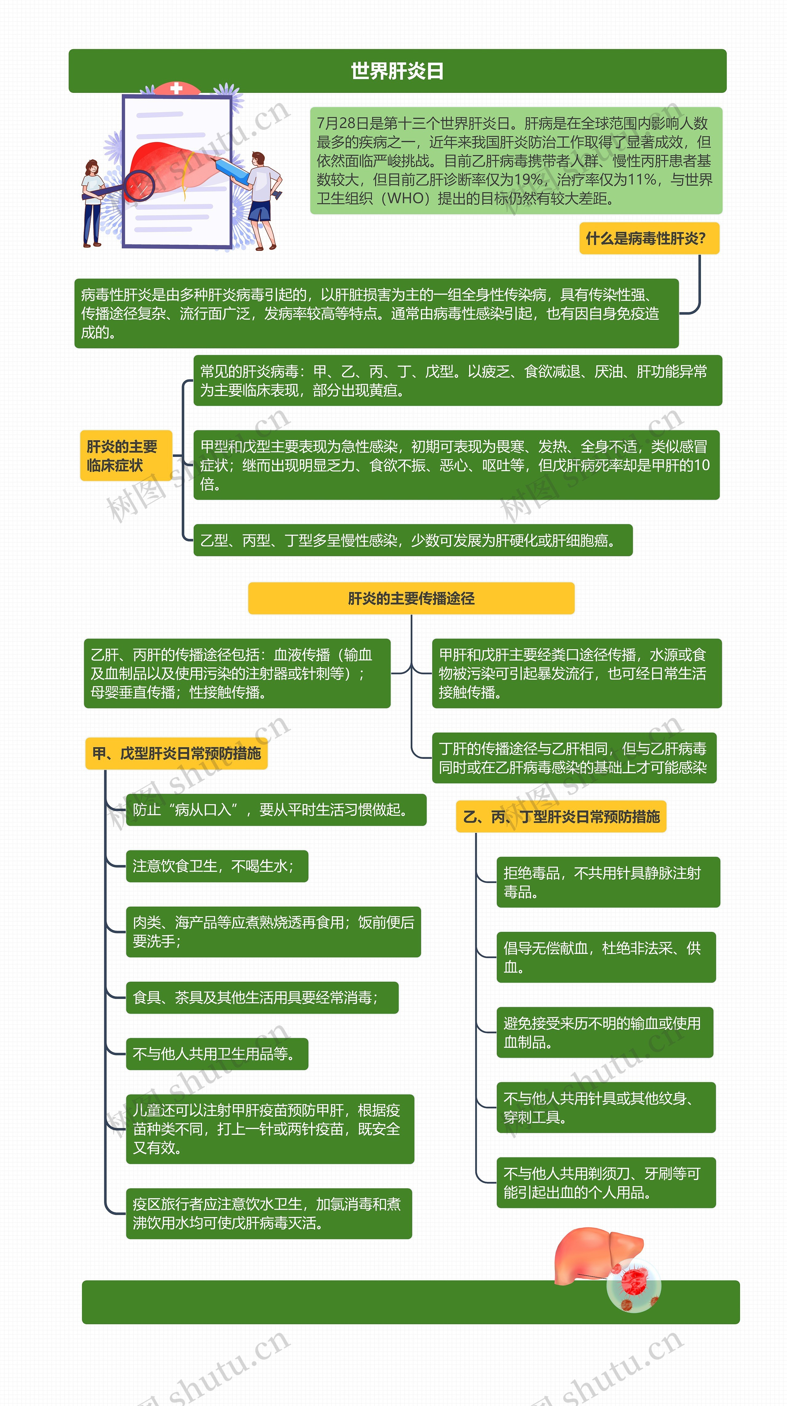 世界肝炎日思维导图