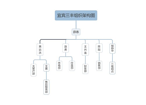 宜宾三丰组织架构图