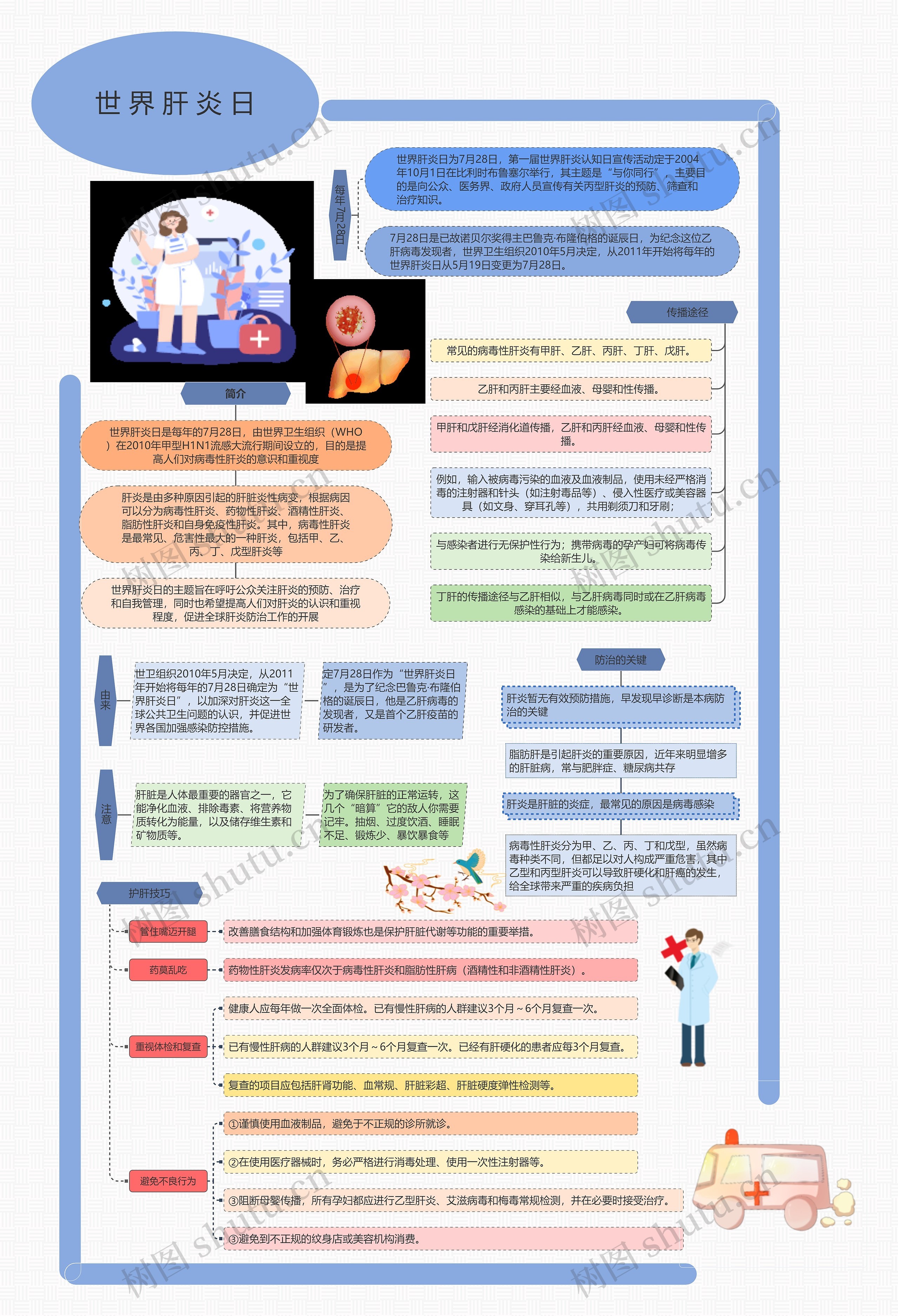 世界肝炎日思维导图