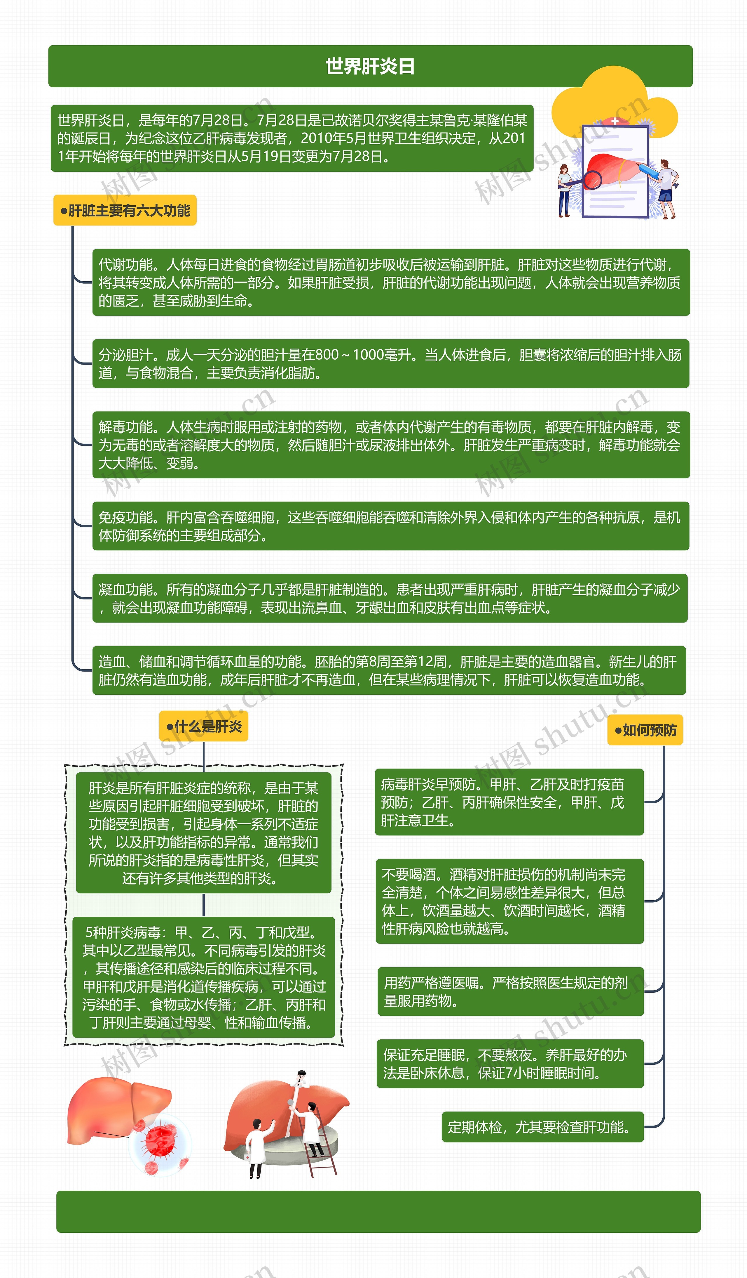 世界肝炎日思维导图