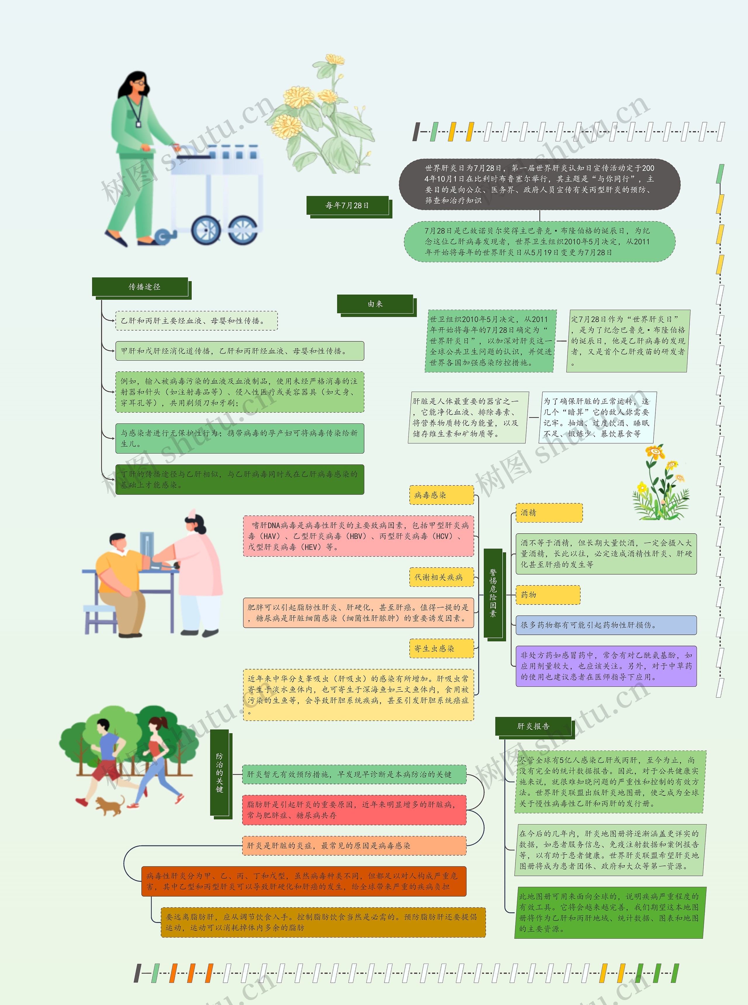 世界肝炎日手抄报思维导图