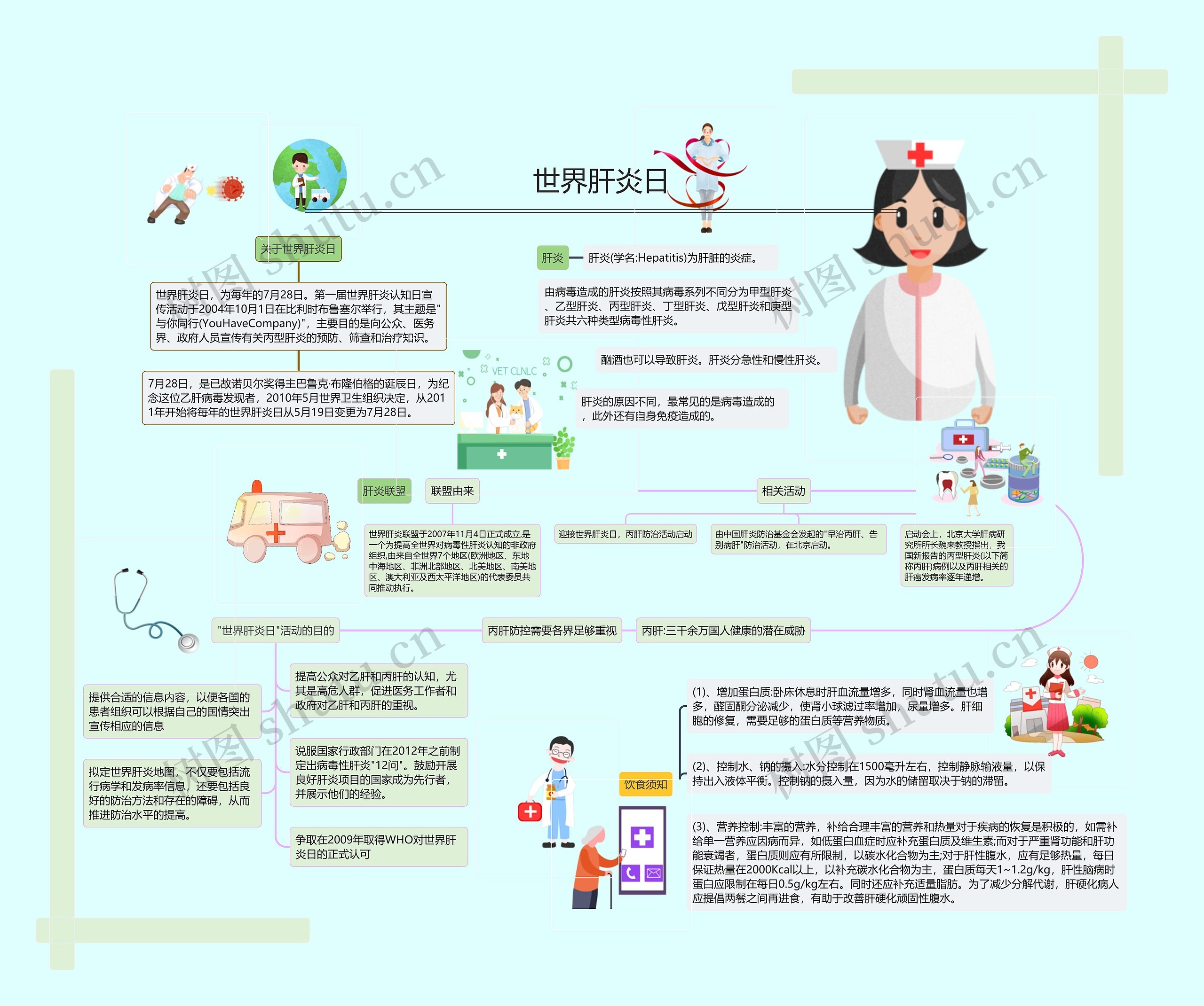 世界肝炎日思维导图