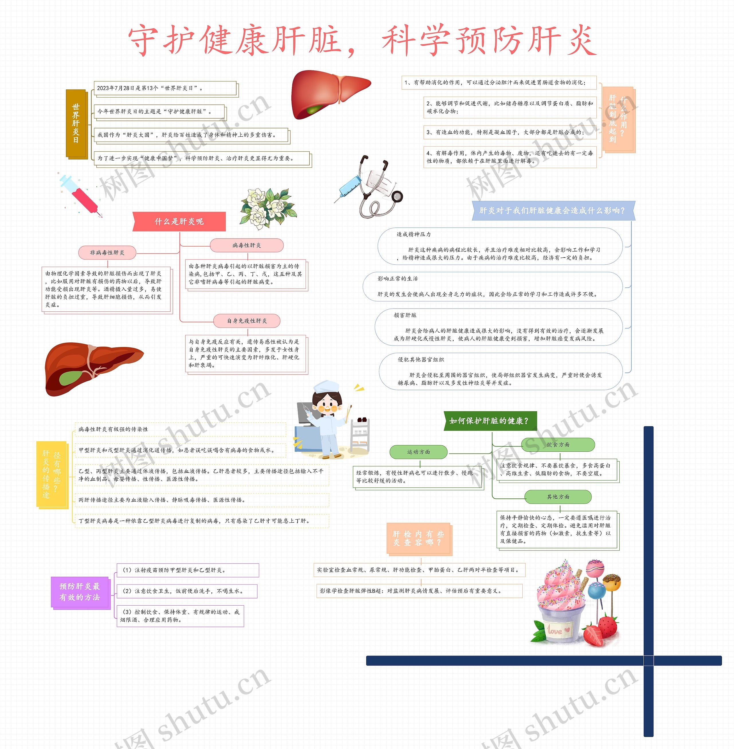 守护健康肝脏，科学预防肝炎思维导图