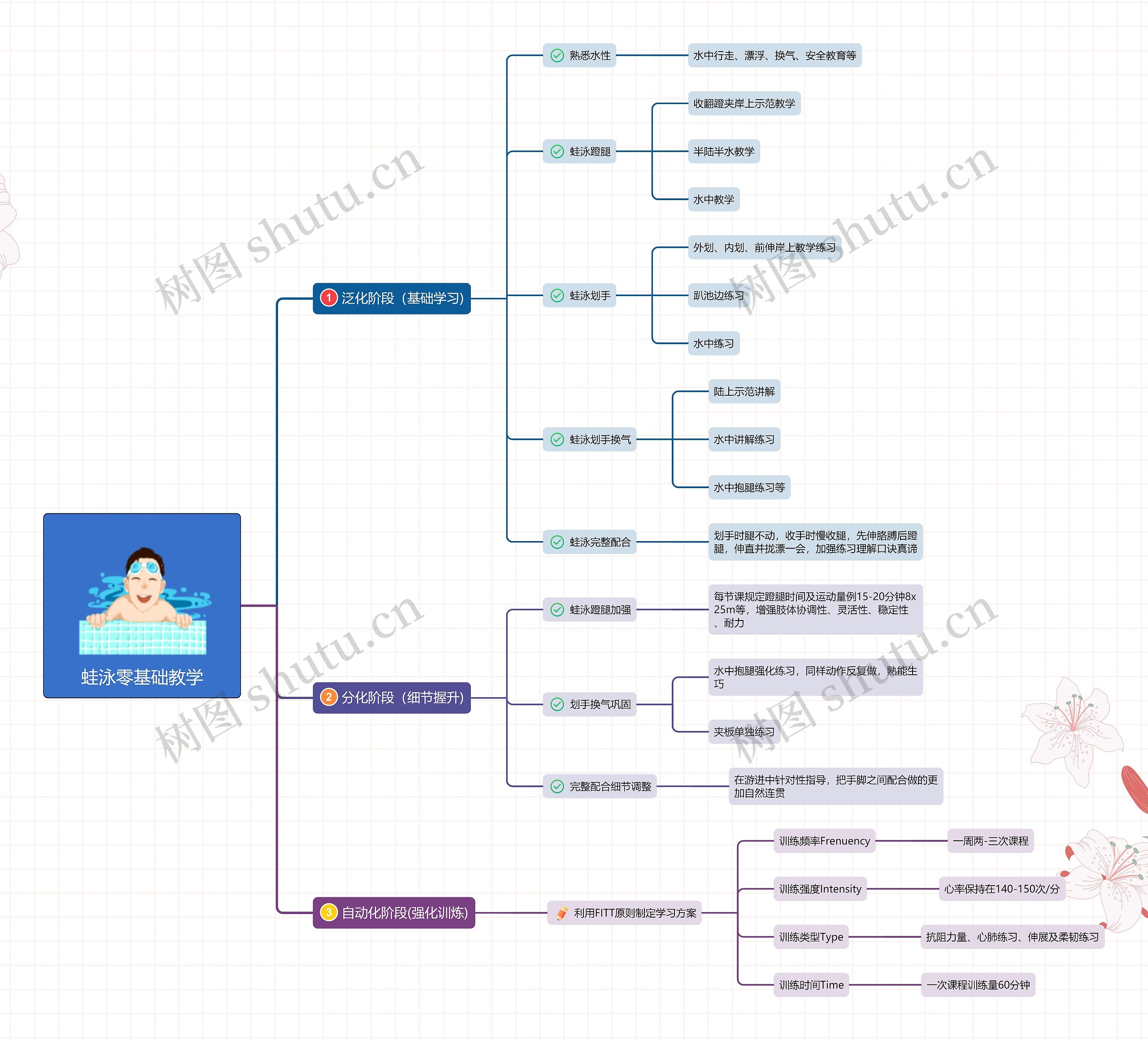 蛙泳零基础教学思维导图