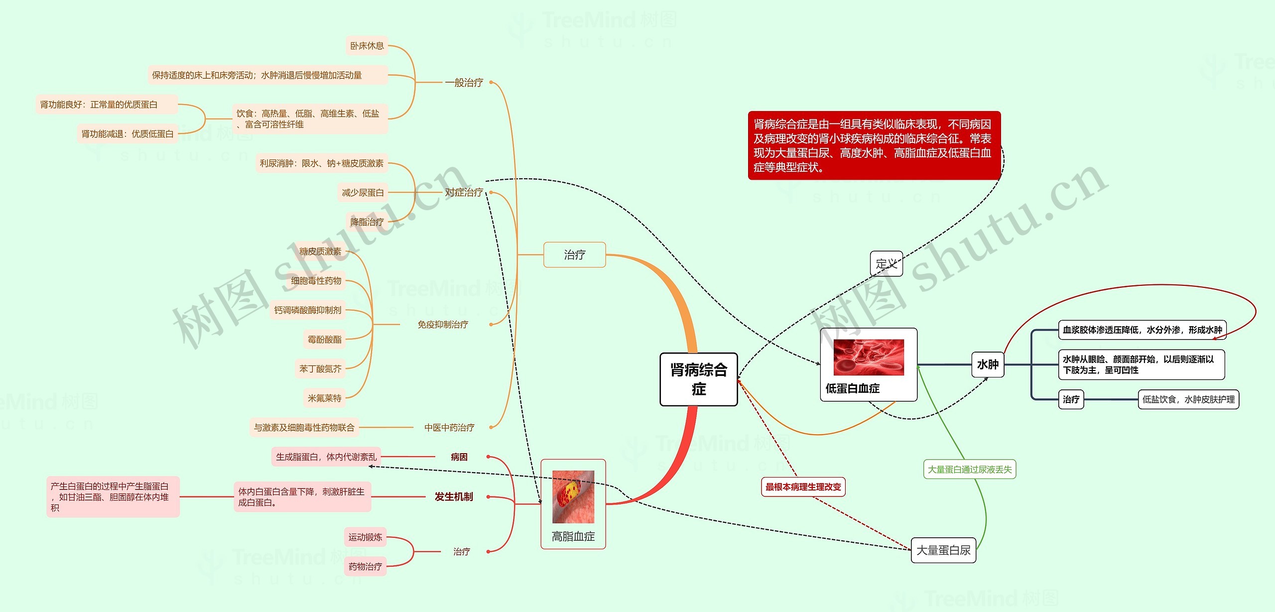 肾病综合症思维导图