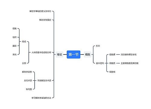 解剖学第一节思维导图