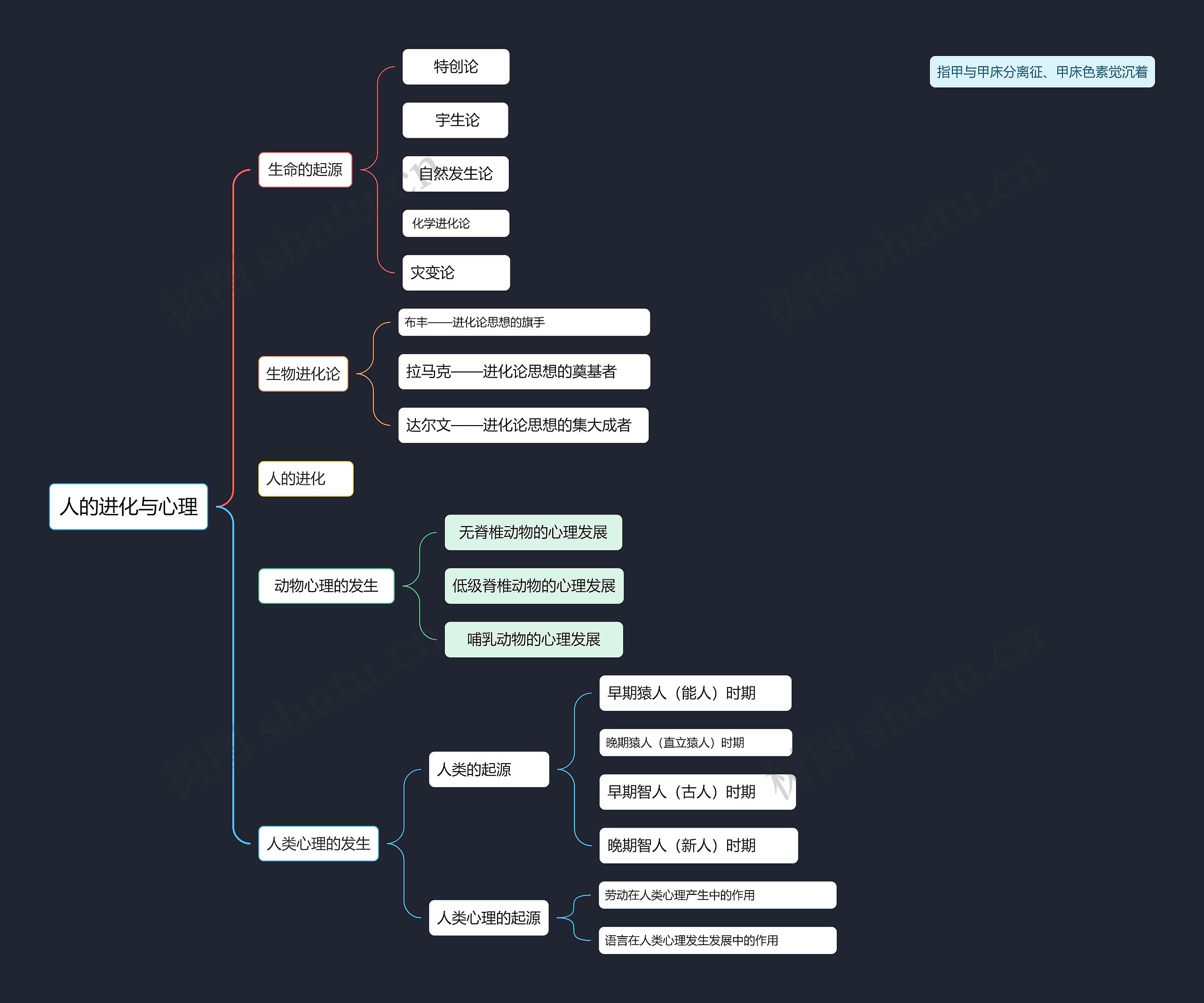 人的进化与心理思维导图