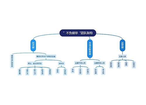 ”不负蛸华“团队架构思维导图