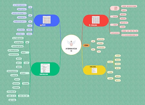 护理病例书写质控