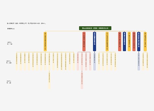 营山发展投资（控股）有限责任公司思维导图