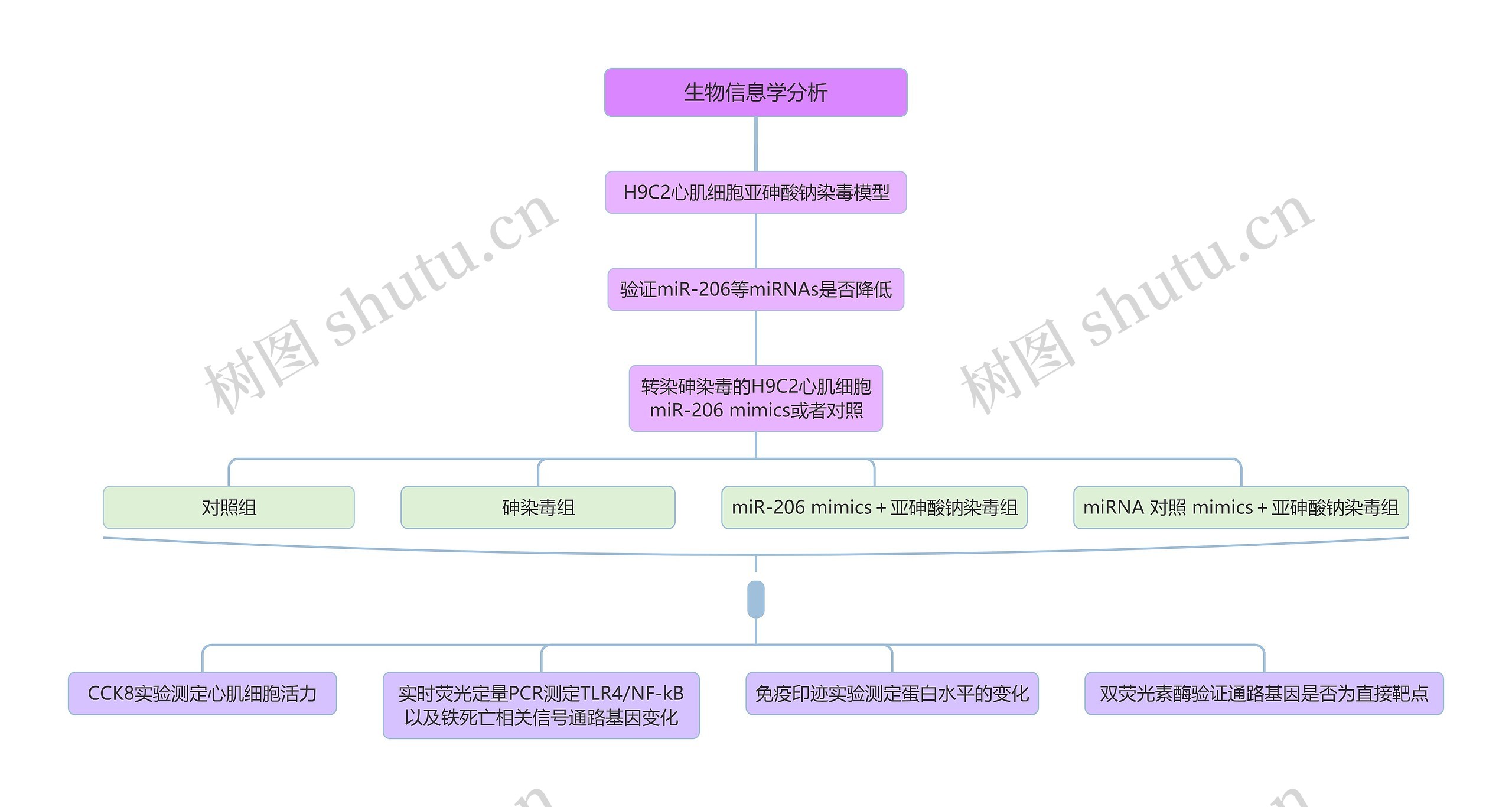 生物信息学分析