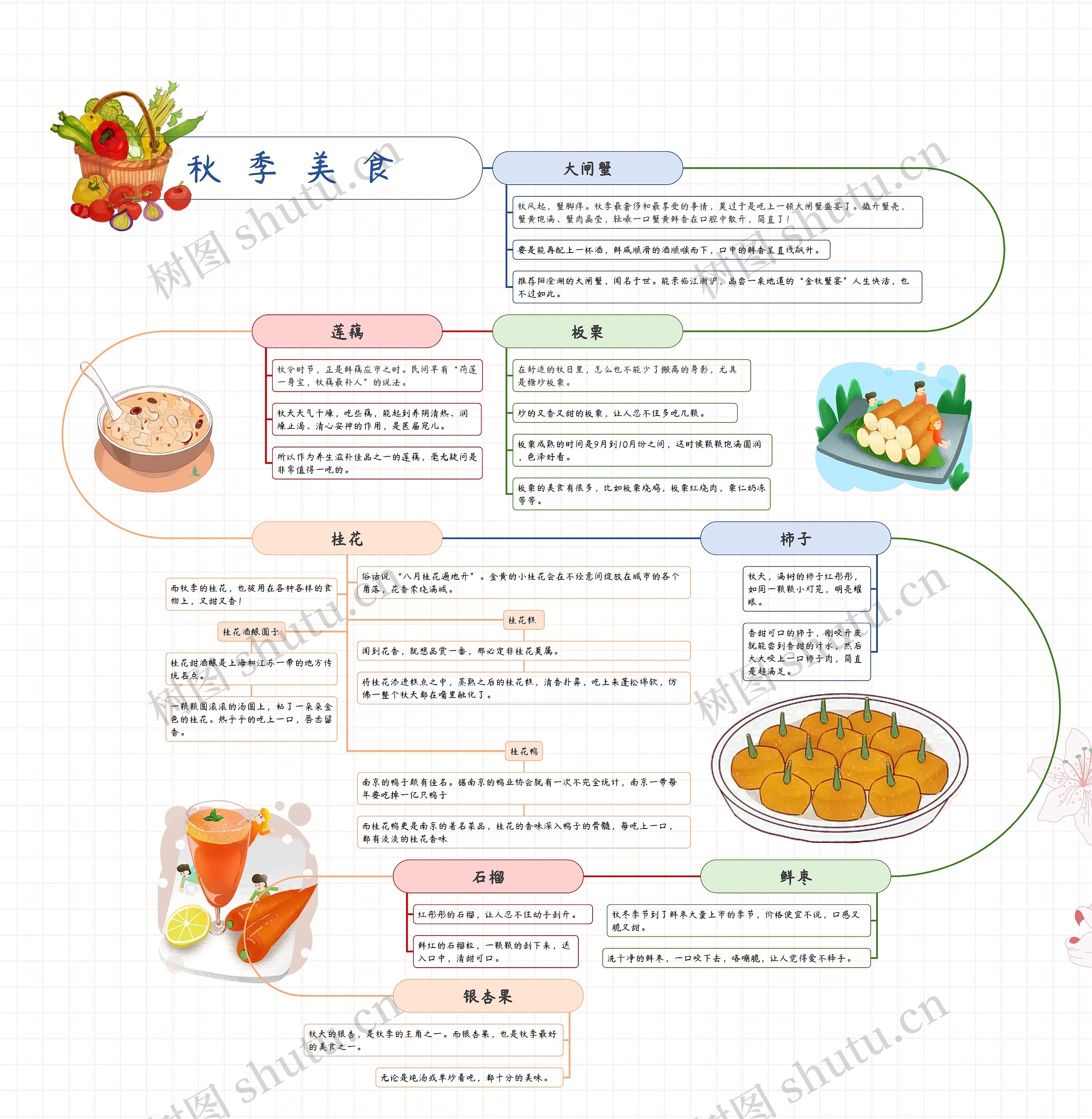 秋季美食思维导图