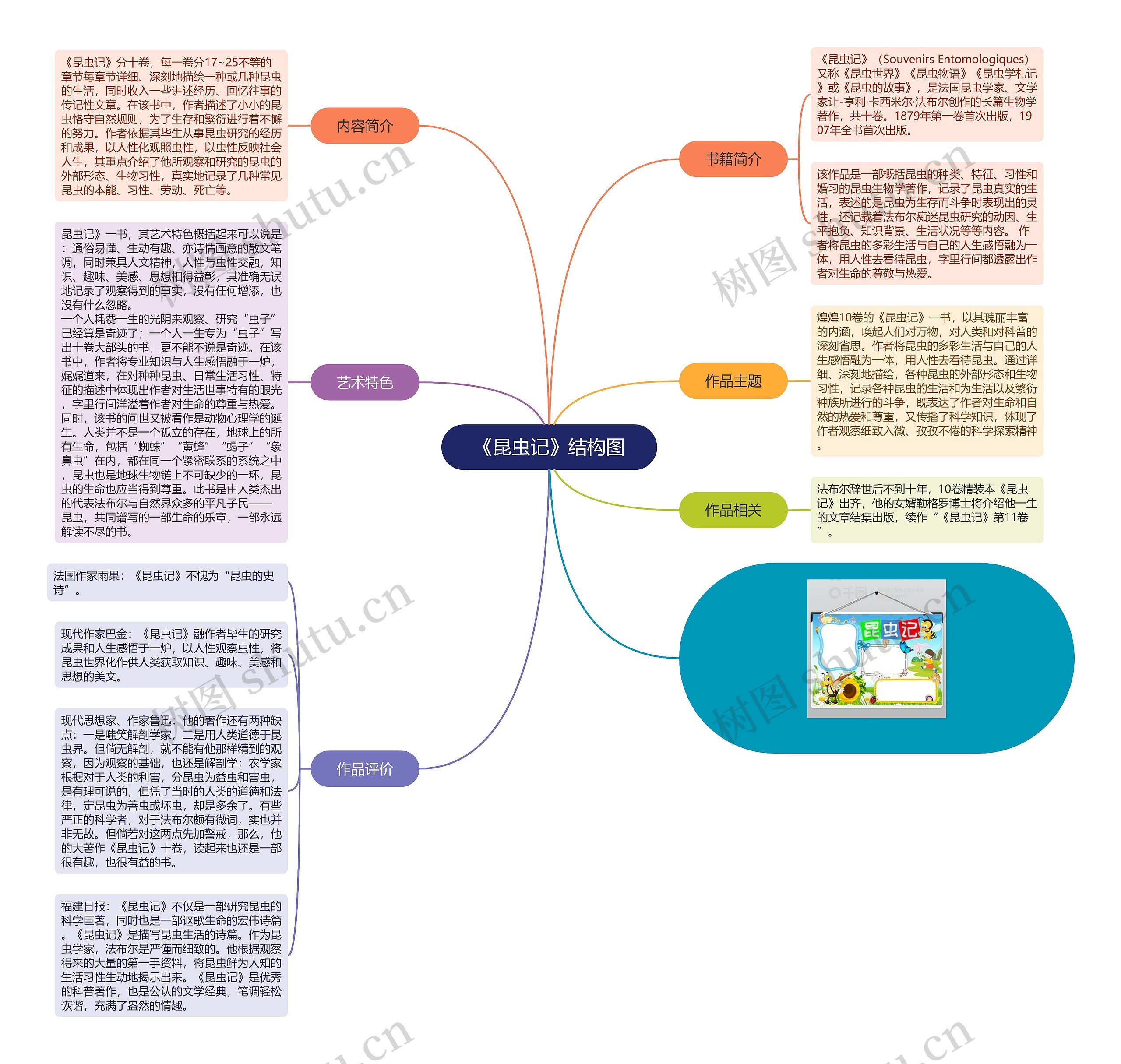 《昆虫记》结构图思维导图