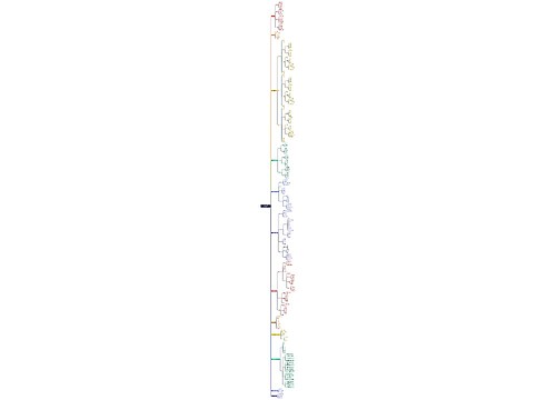 河南省航空港区智慧市场监管平台思维导图