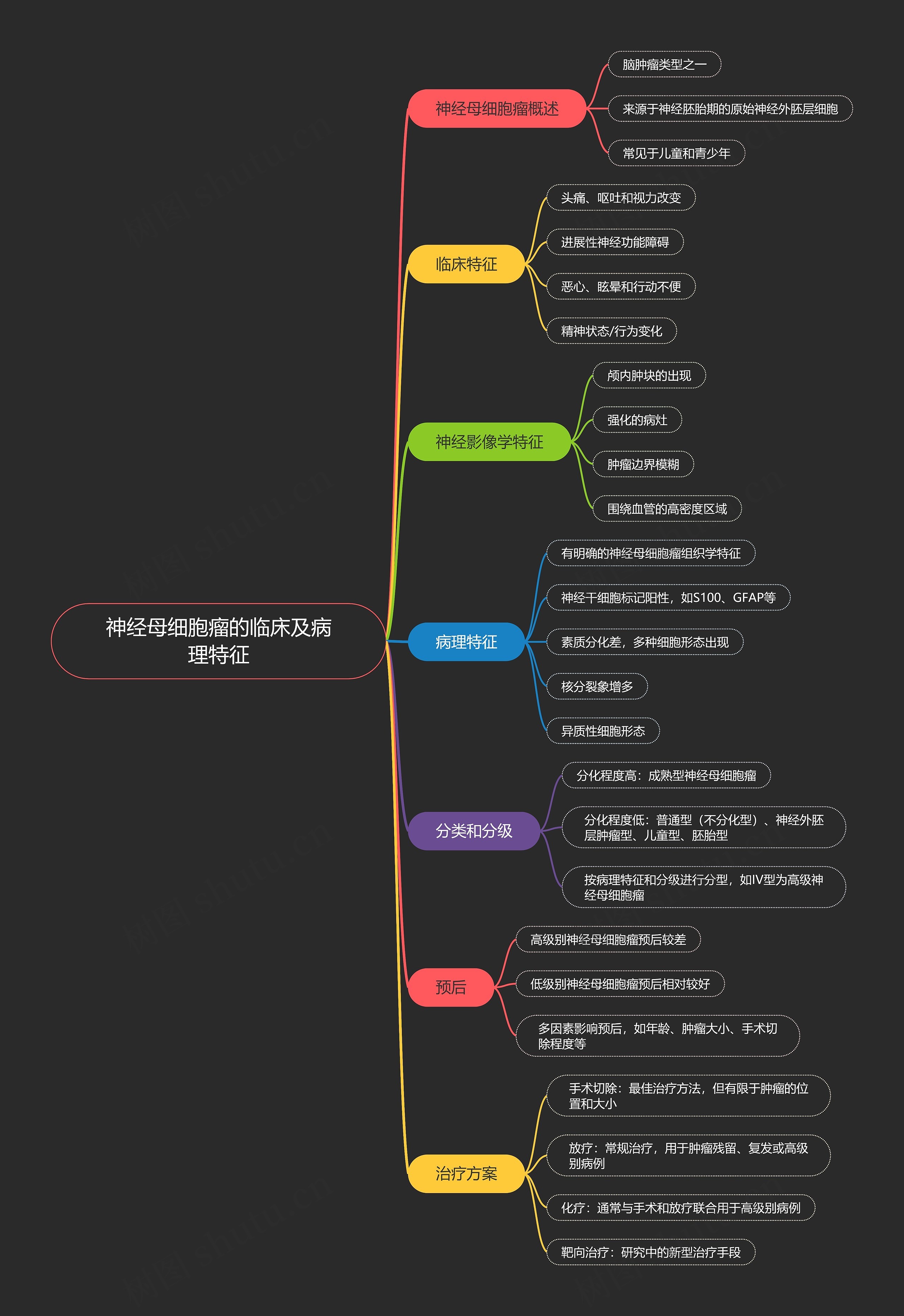 神经母细胞瘤的临床及病理特征