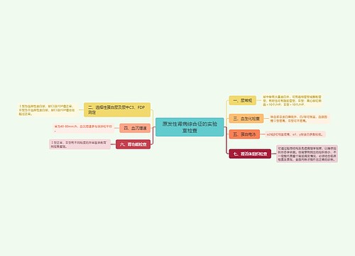 原发性肾病综合征的实验室检查思维导图