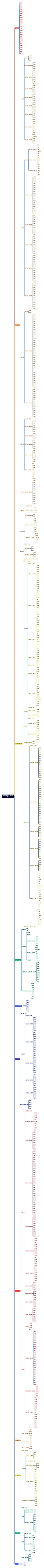 仟传网络科技（上海）有限公司思维导图