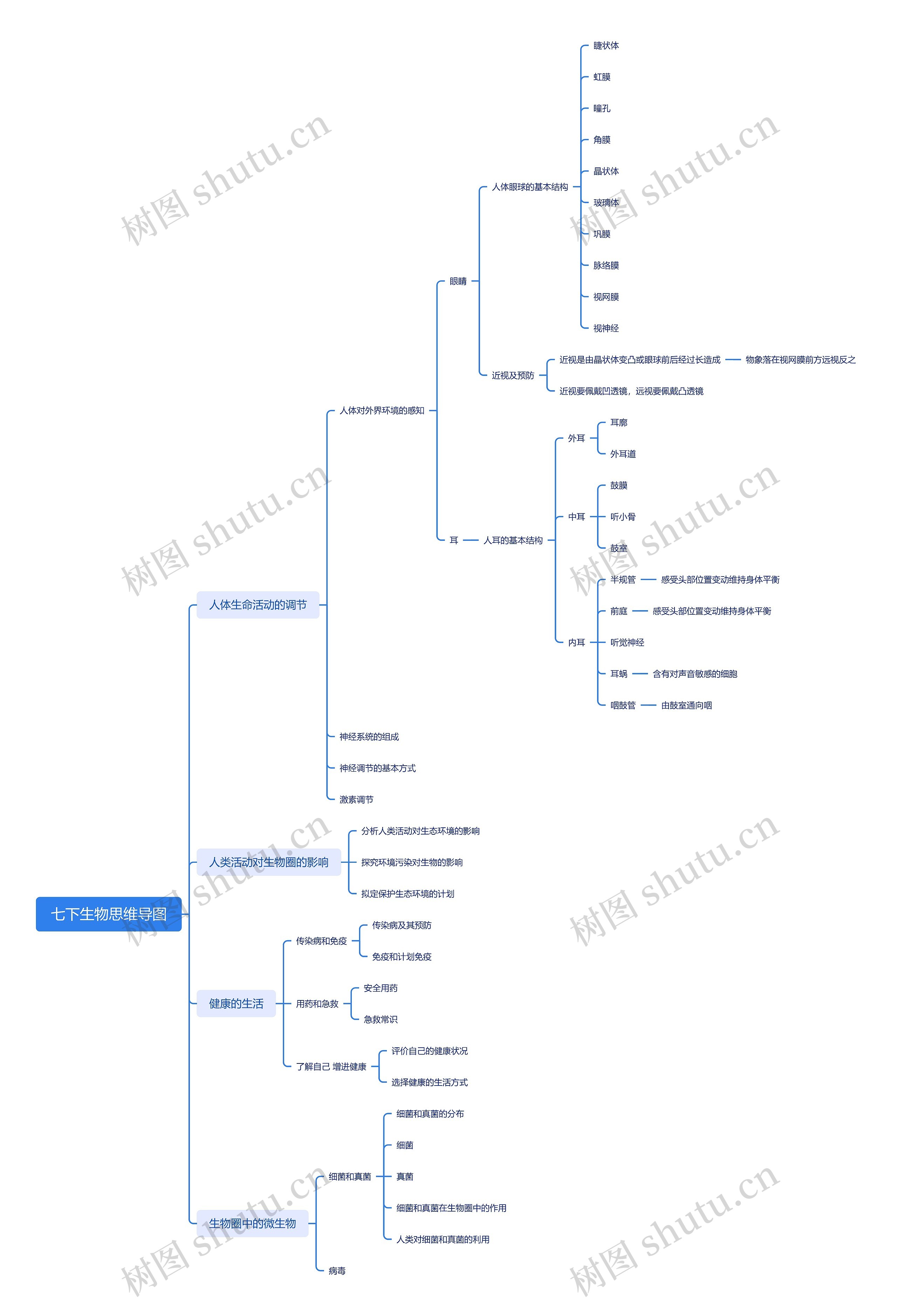 七下生物思维导图