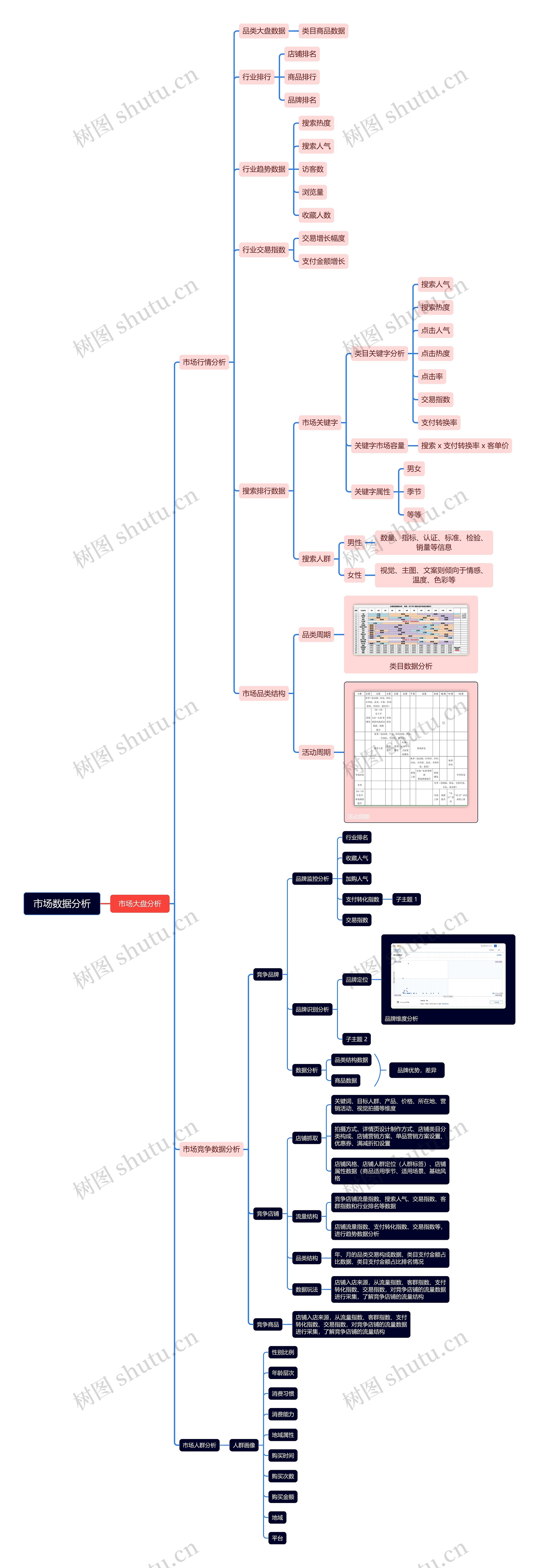 市场数据分析说明脑图思维导图