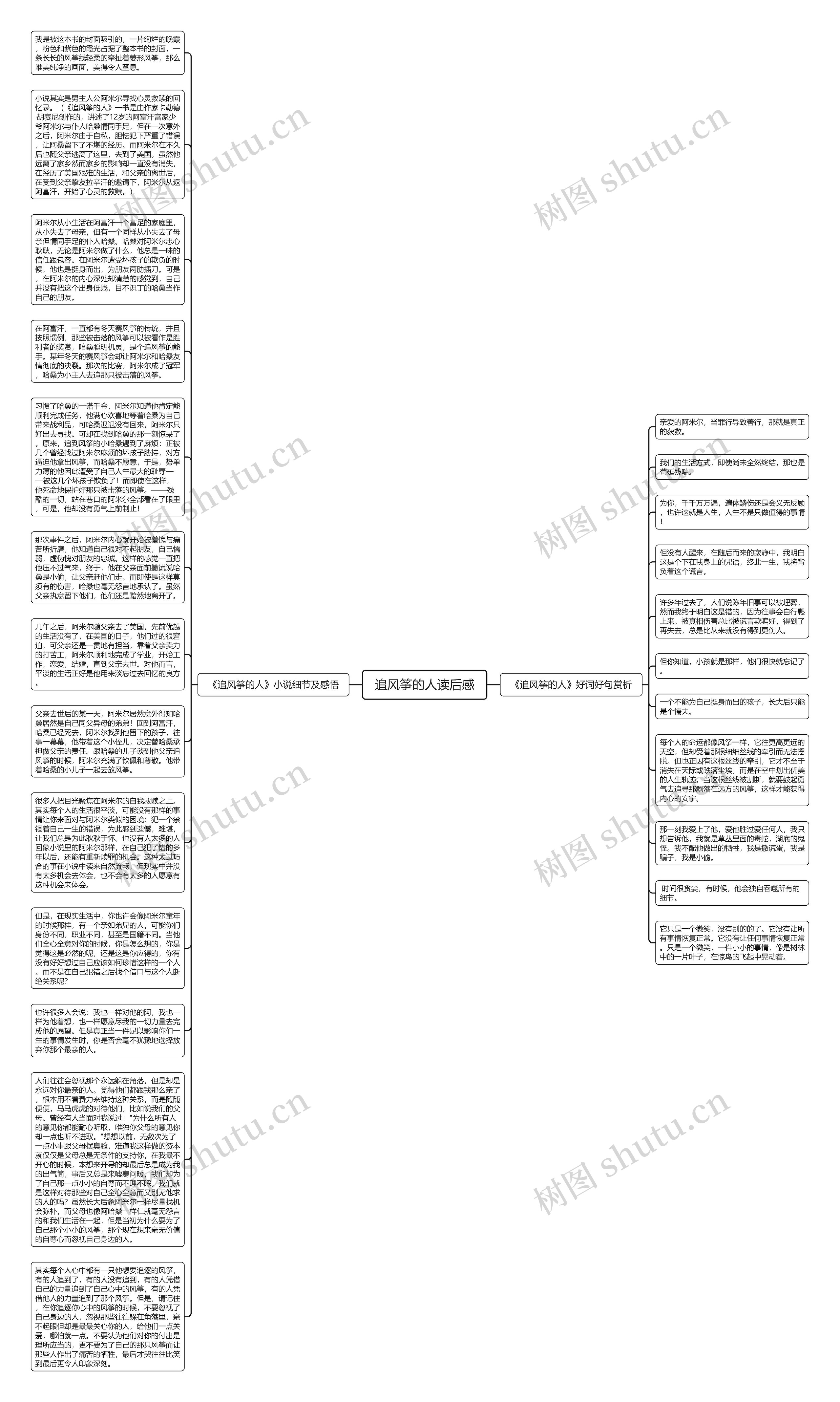 追风筝的人读后感脑图思维导图