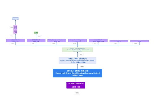 都市丽人（香港）有限公司组织架构分解图