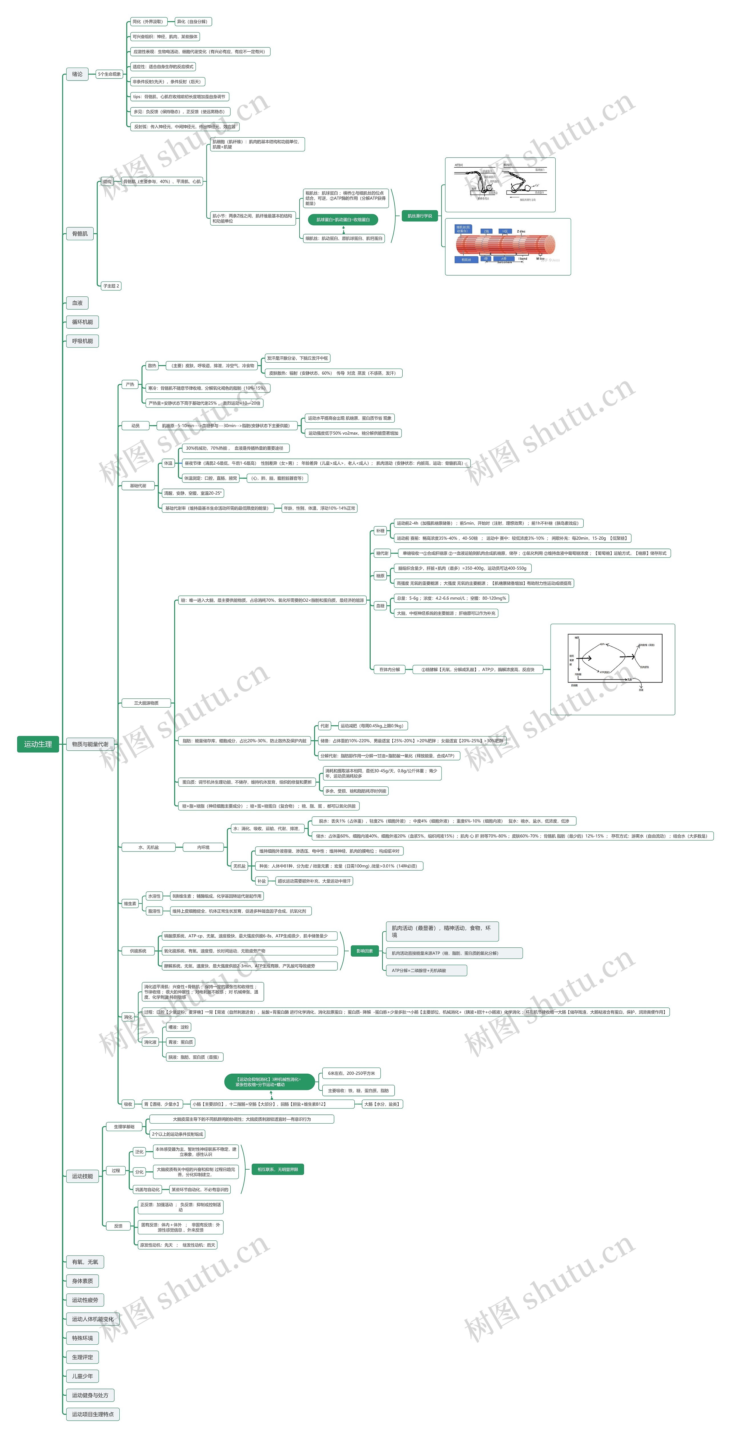 运动生理医学知识脑图思维导图