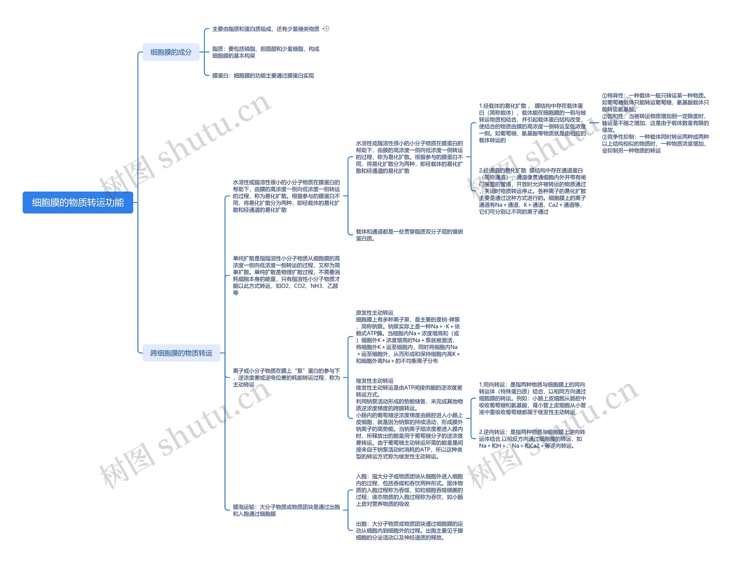 细胞膜的物质转运功能脑图思维导图