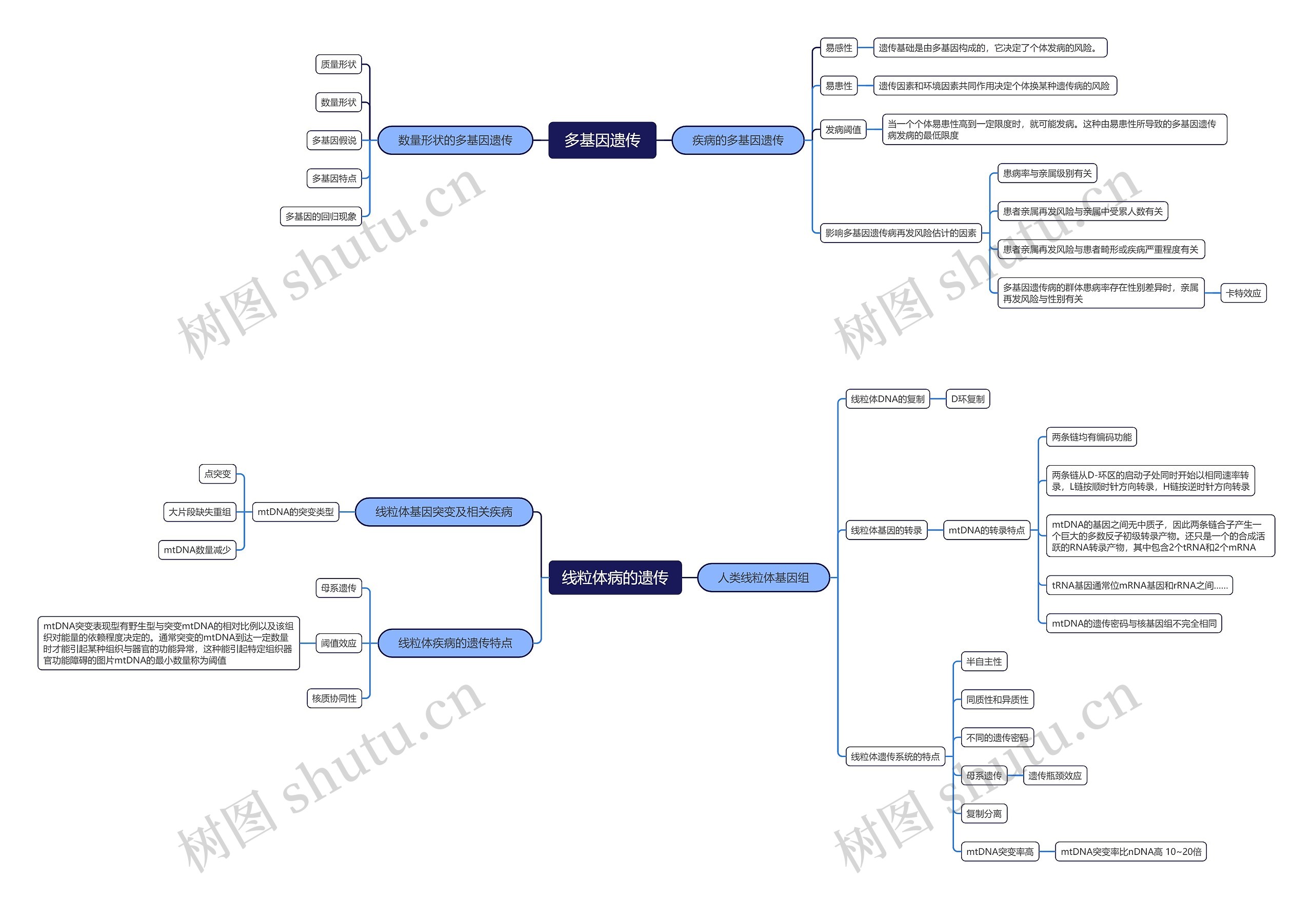 ﻿多基因遗传医学脑图思维导图