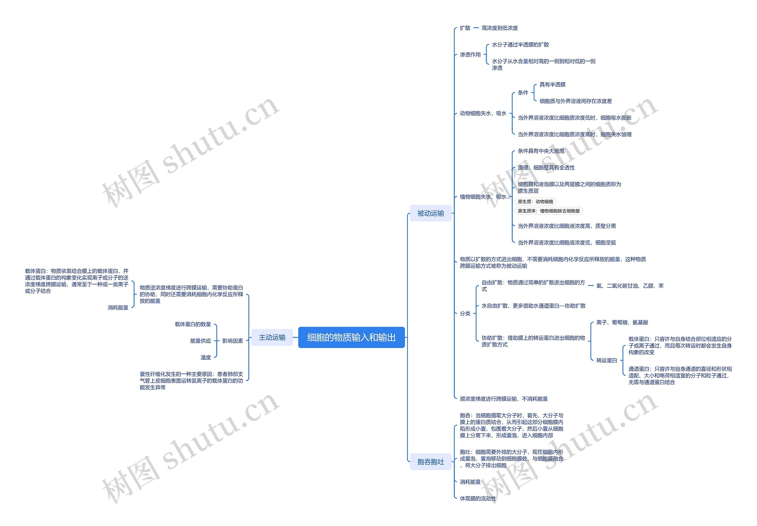 ﻿细胞的物质输入和输出脑图