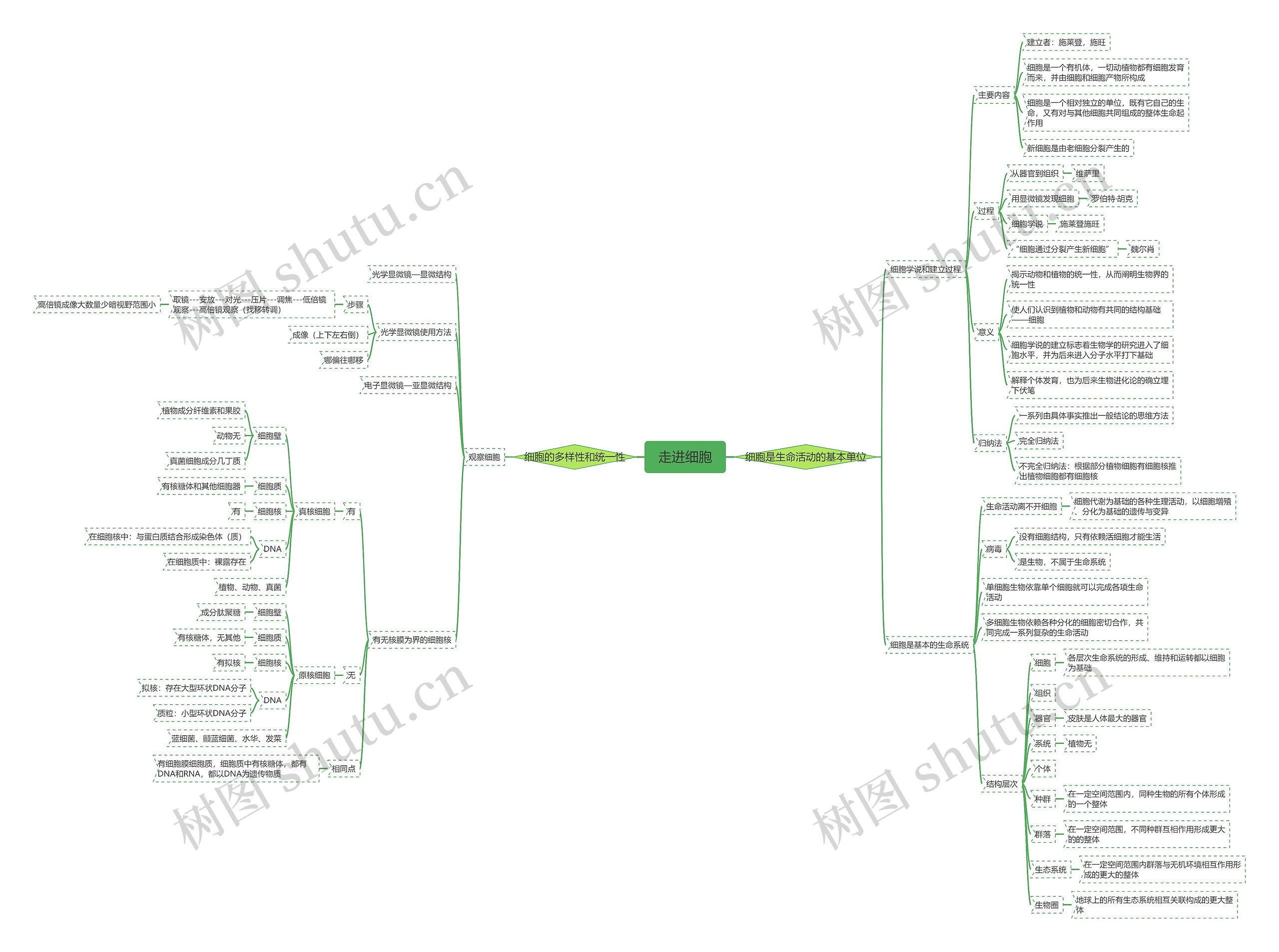 走进细胞医学知识脑图思维导图