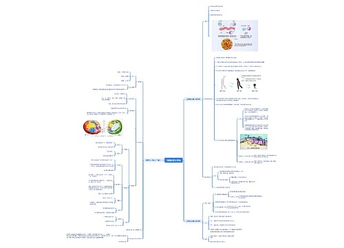 细胞的基本结构医学知识脑图