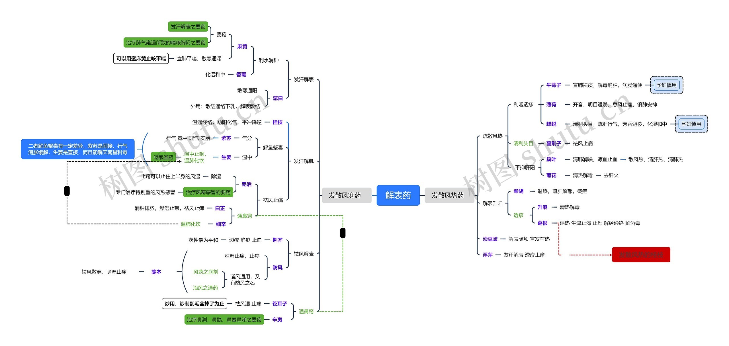 解表药中医知识脑图
