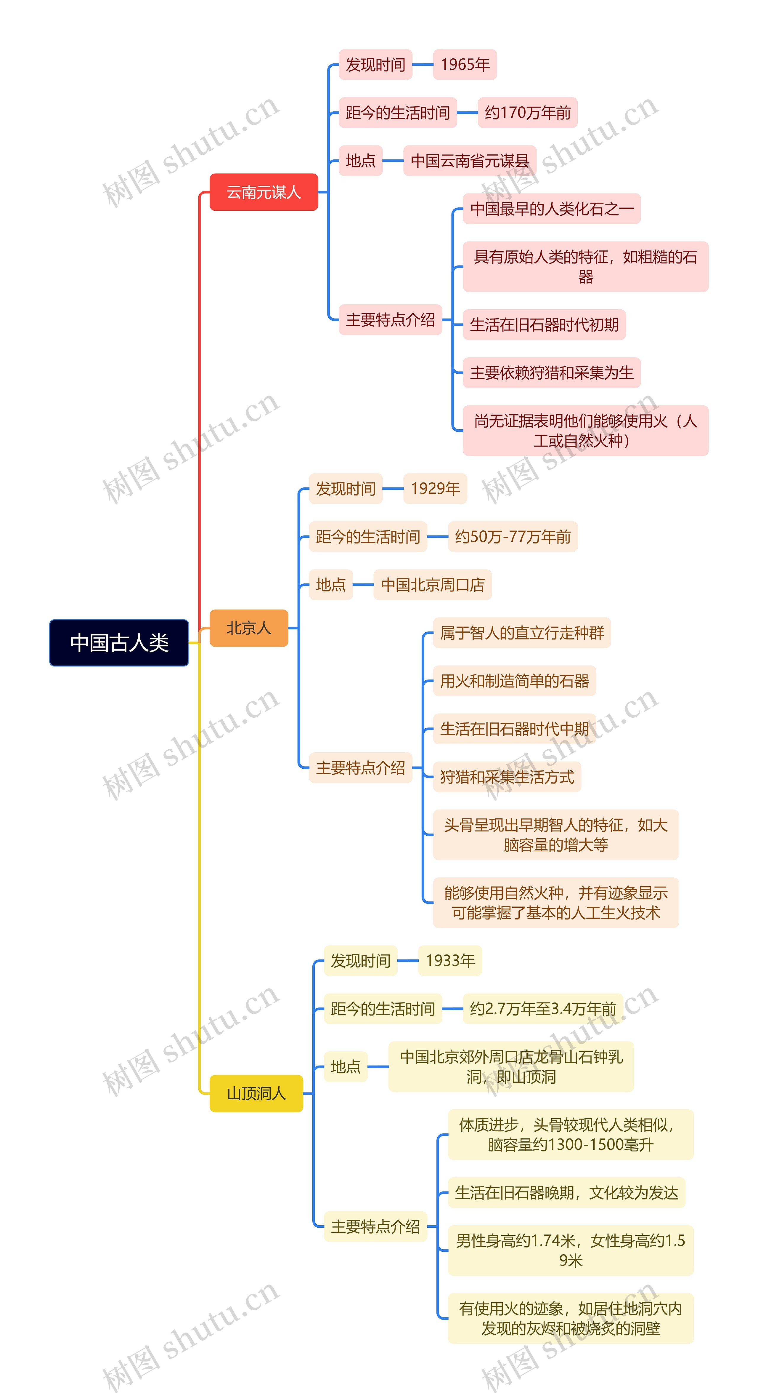 中国古人类历史知识脑图