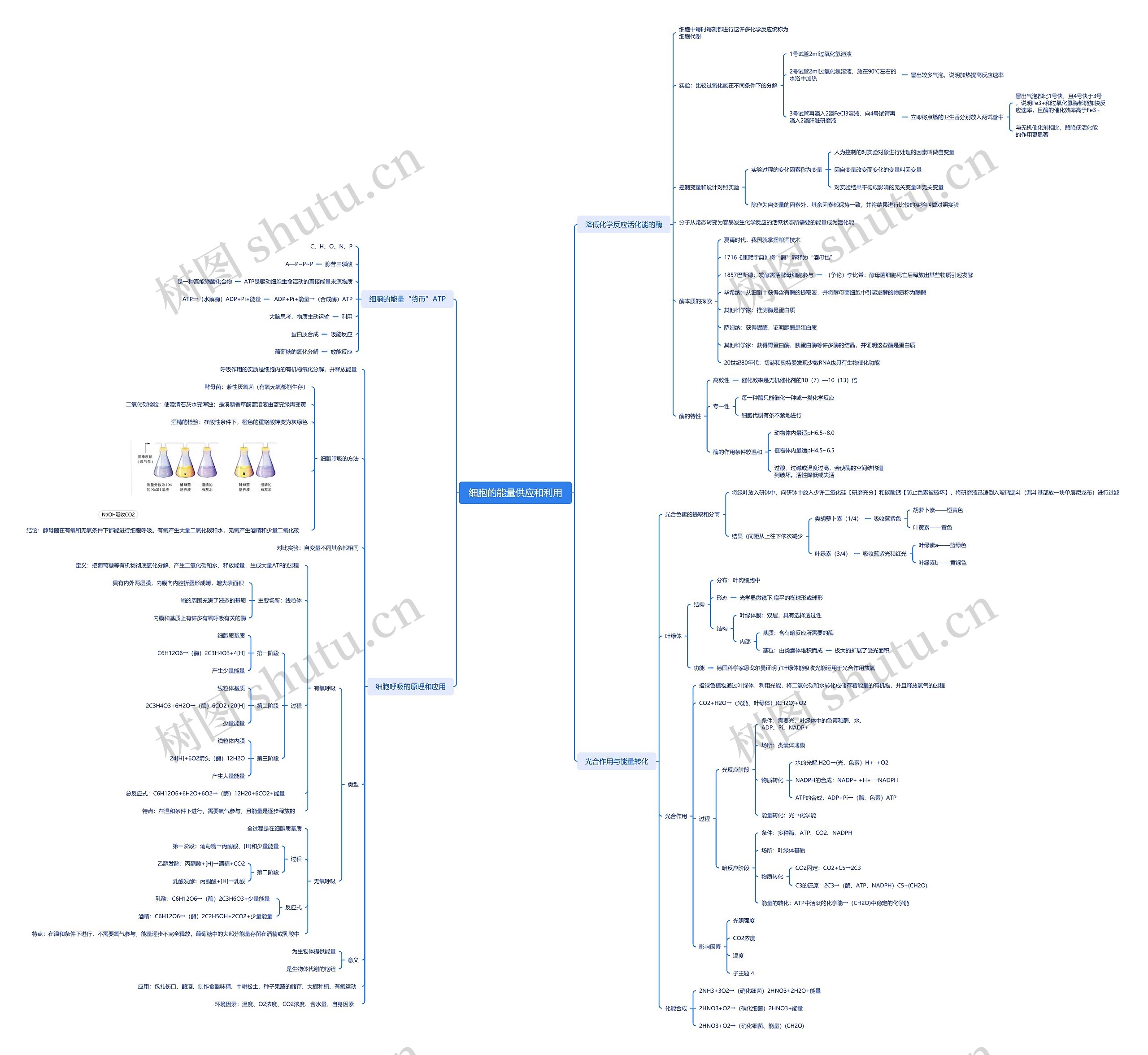 ﻿细胞的能量供应和利用脑图思维导图