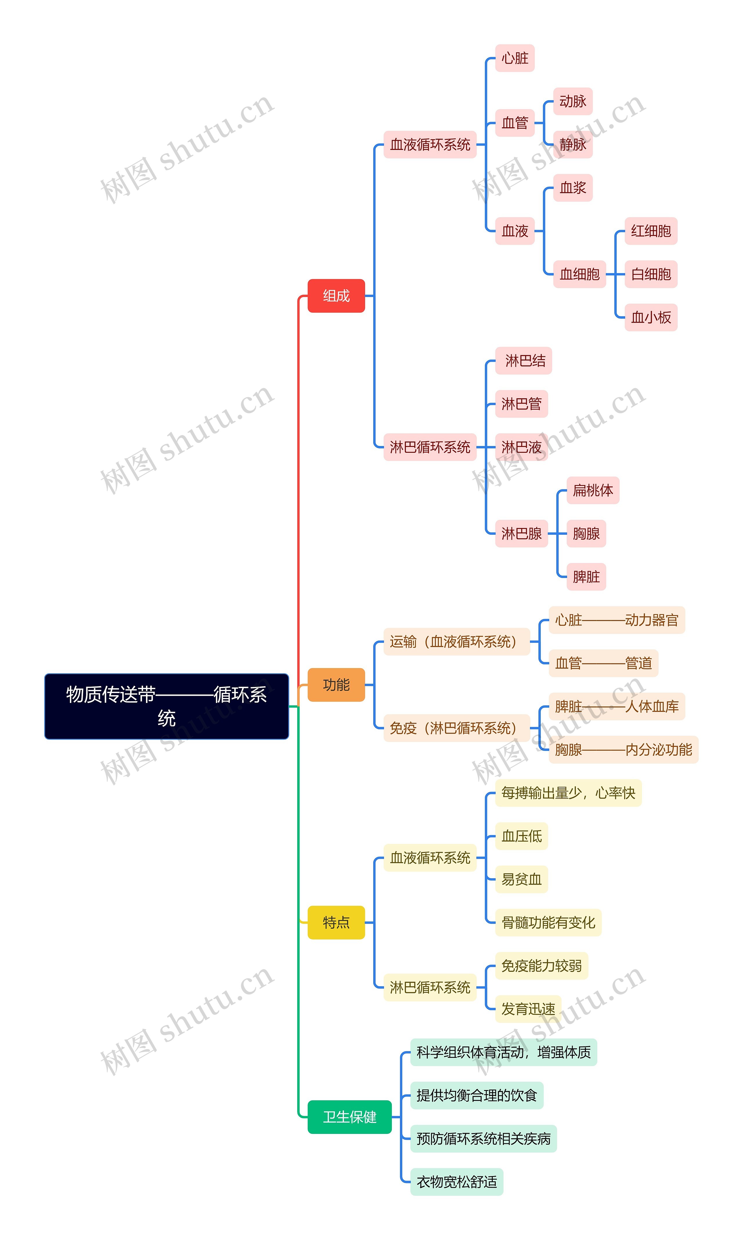 物质传送带循环系统脑图