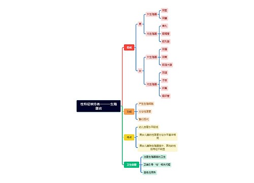 性特征维持者生殖器官讲解