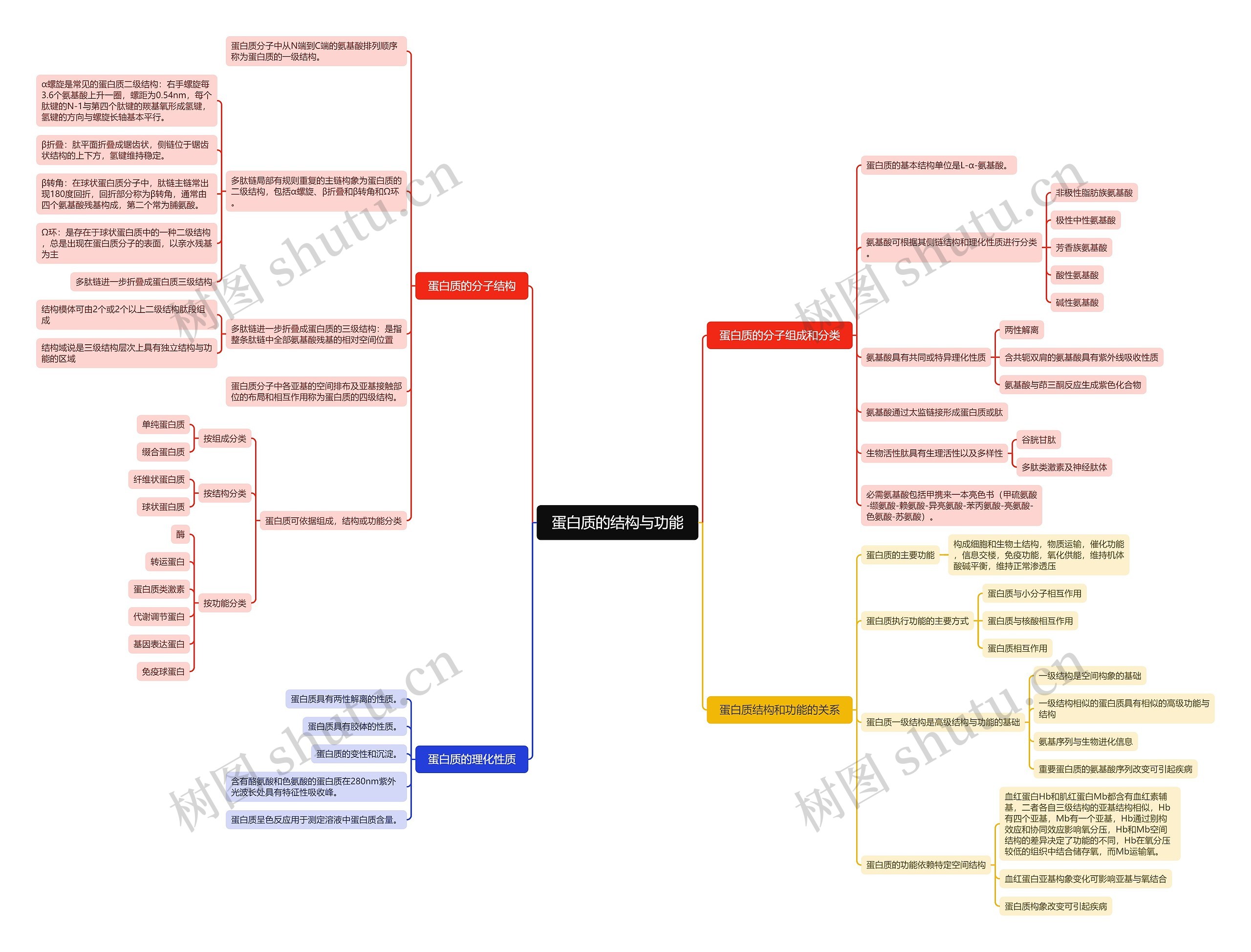 蛋白质的结构与功能脑图思维导图