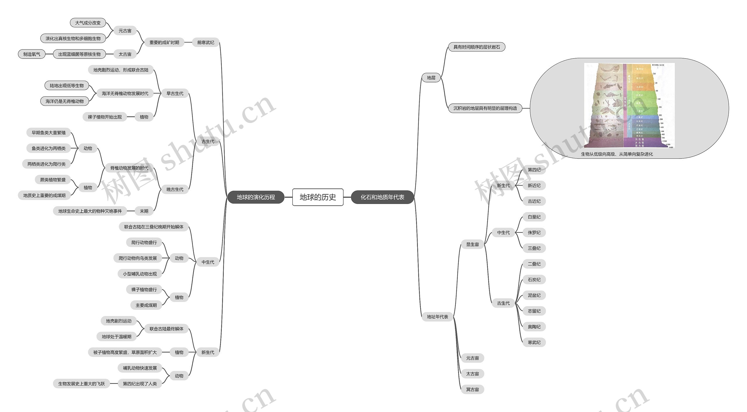 地球的历史脑图思维导图